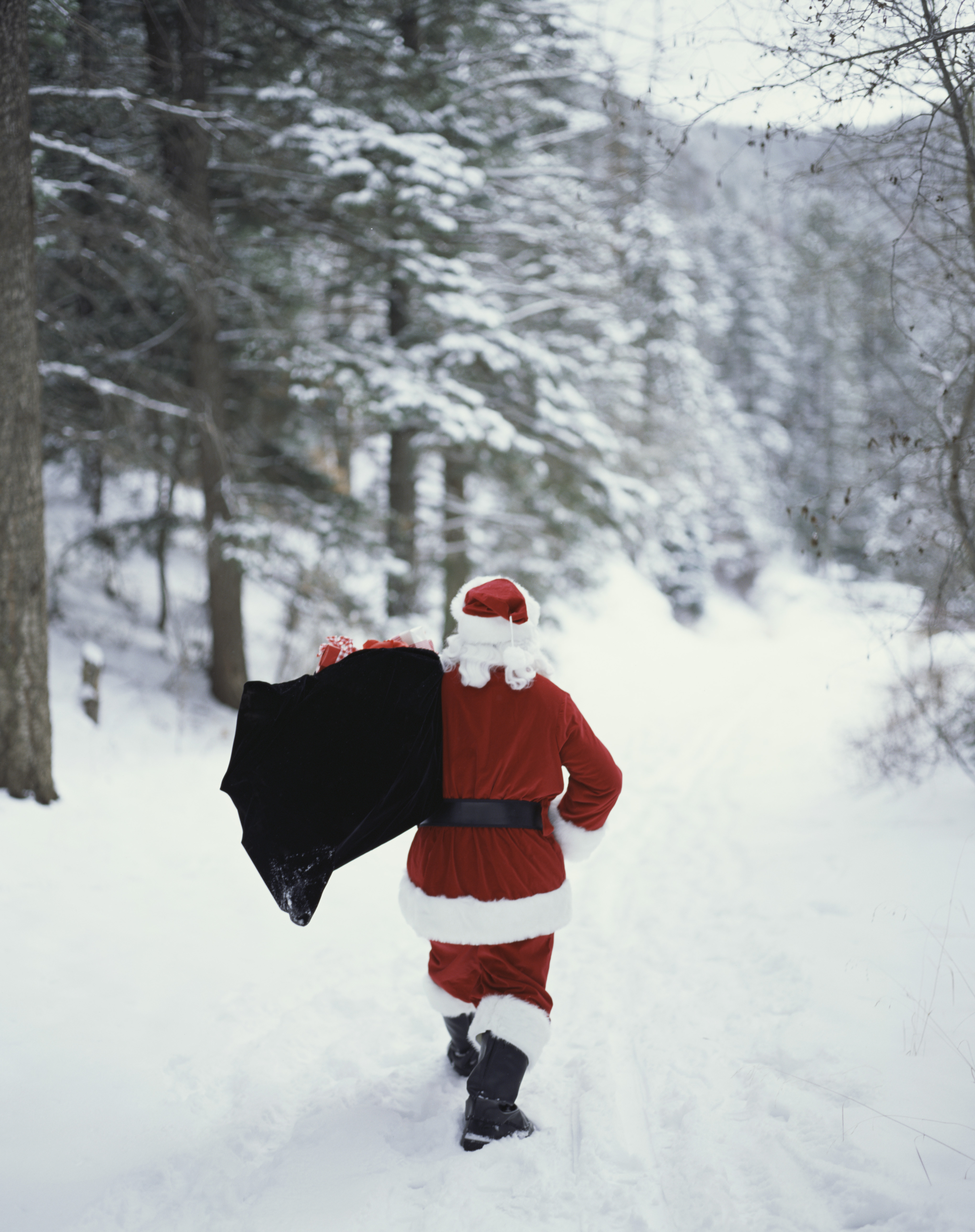 santa-claus-rear-view