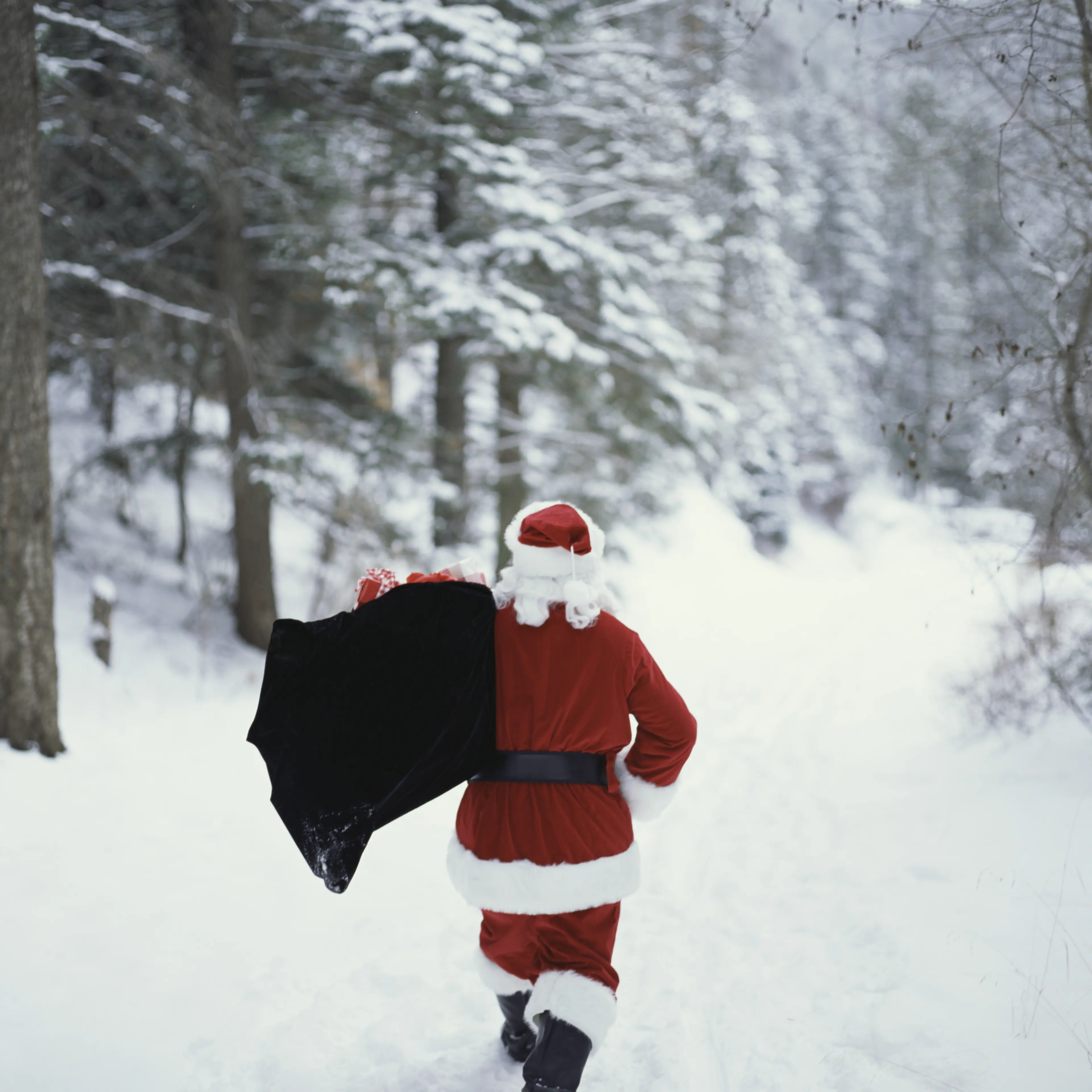 santa-claus-rear-view