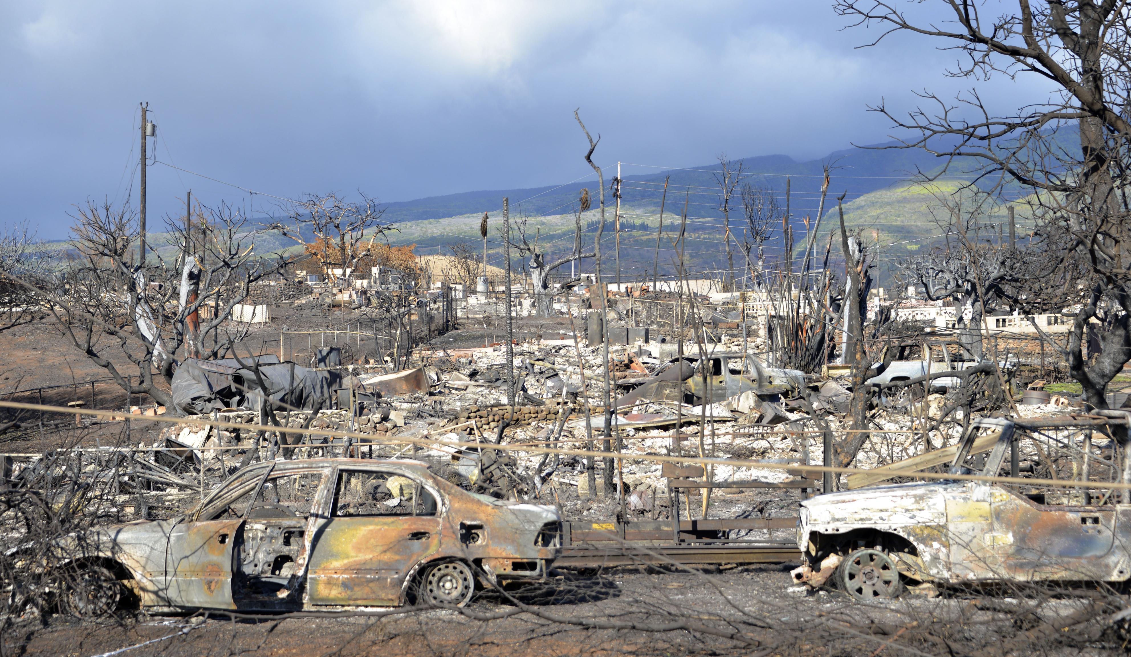 Aftermath of Maui wildfires