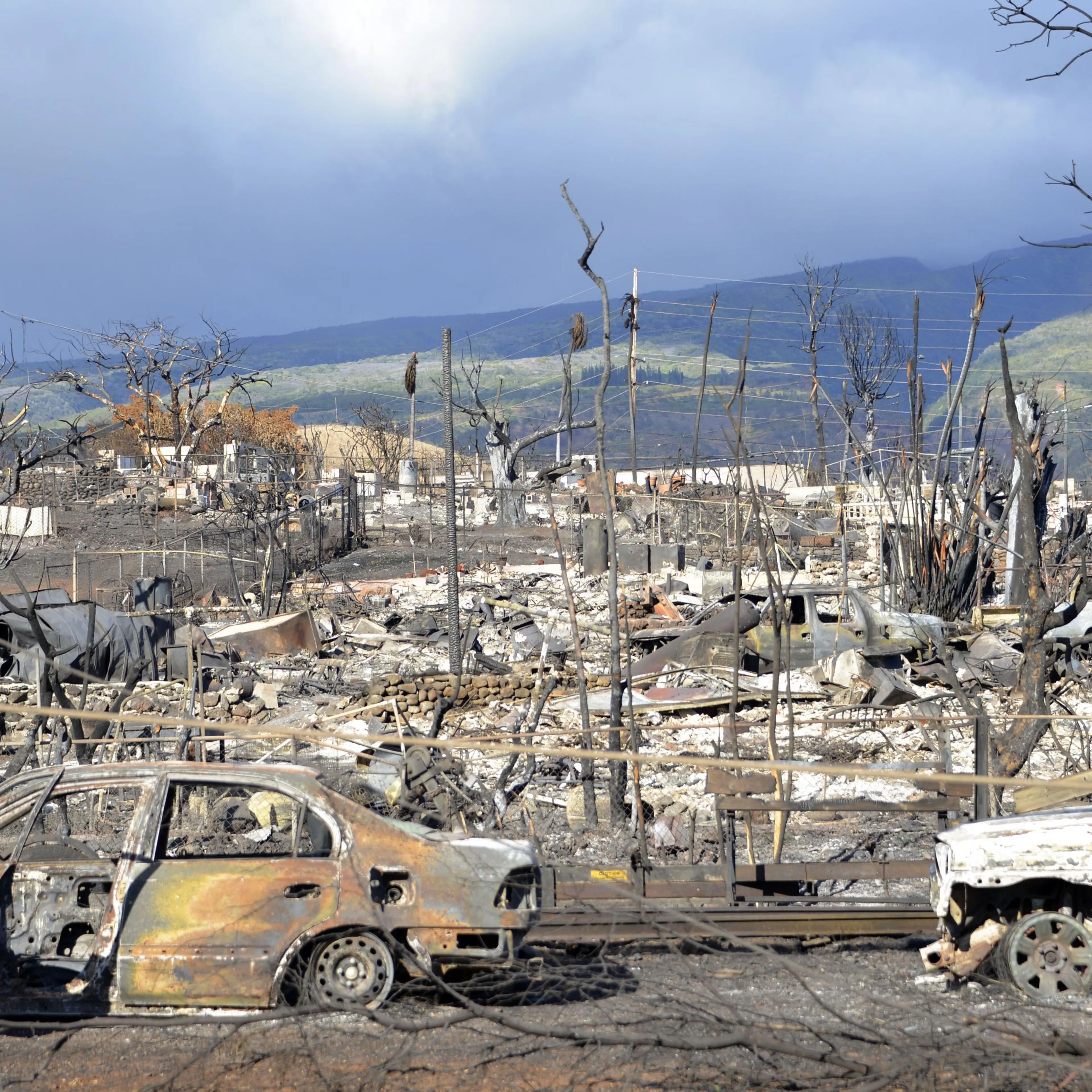Aftermath of Maui wildfires