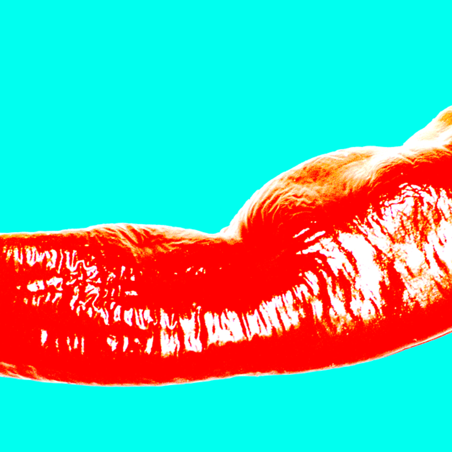 chili pepper