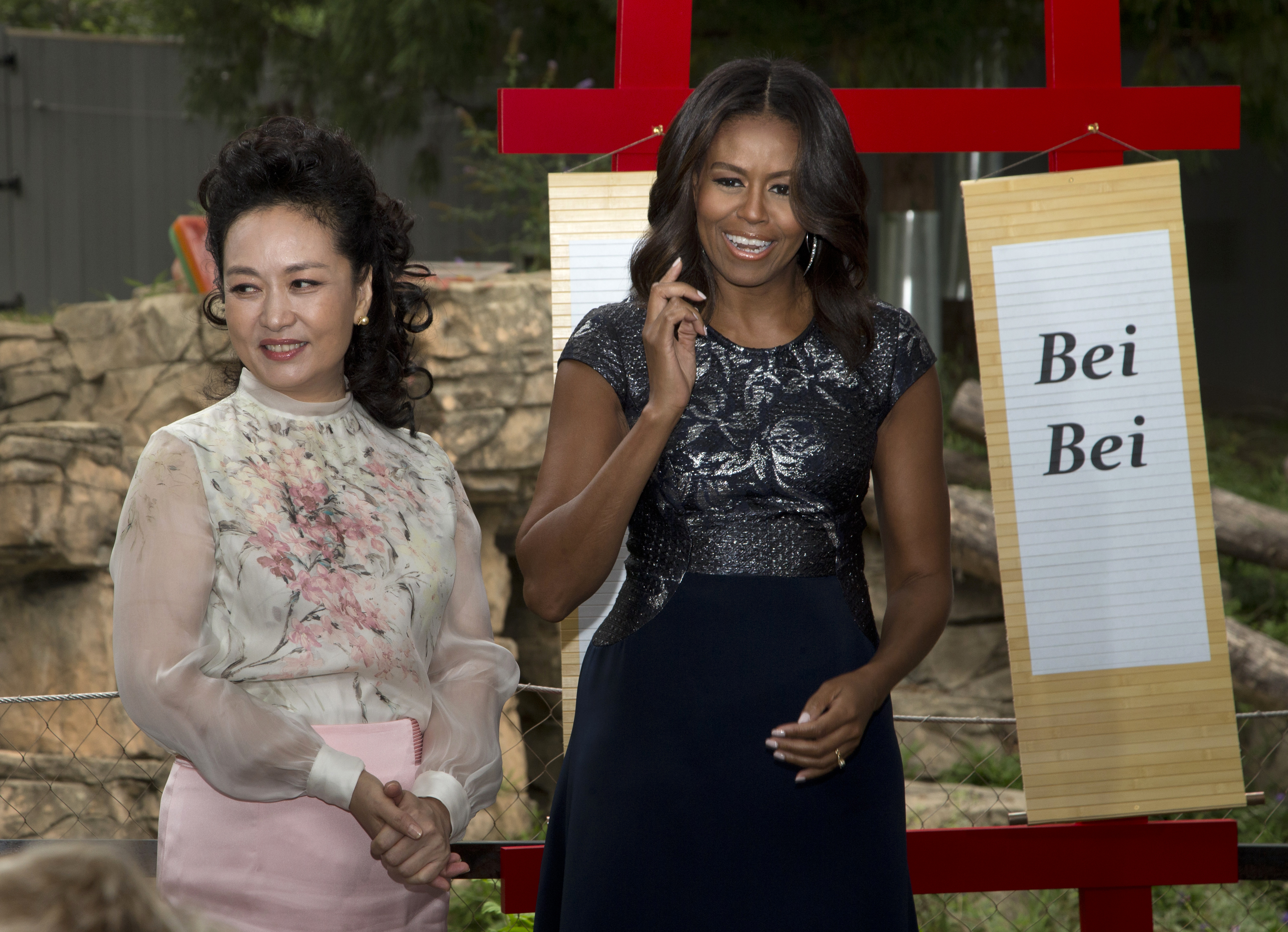 Michelle Obama, Peng Liyuan