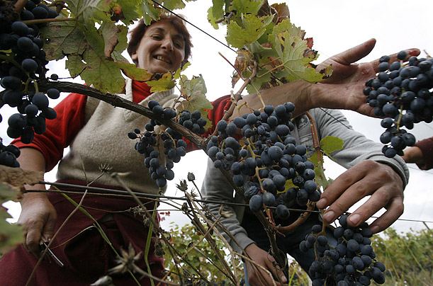 David Mdzinarishvili / Reuters