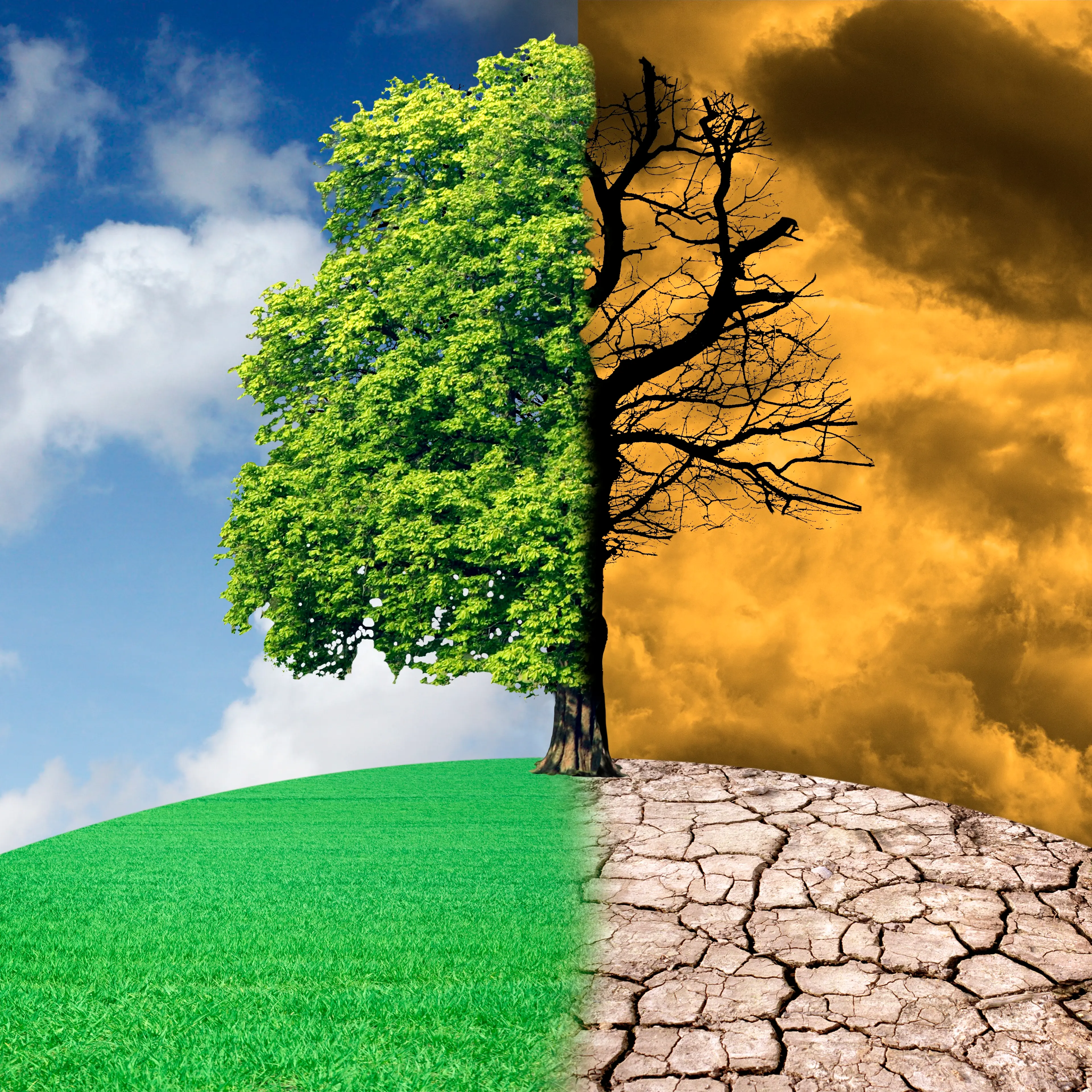 Climate change, conceptual illustration