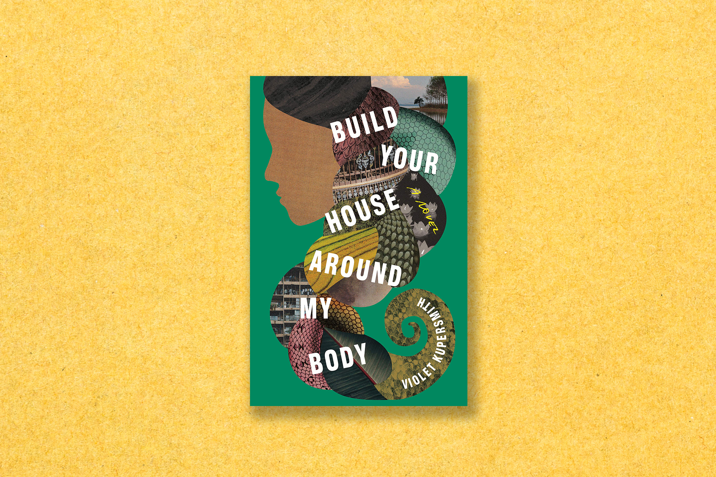 Build Your House Around My Body: A Novel