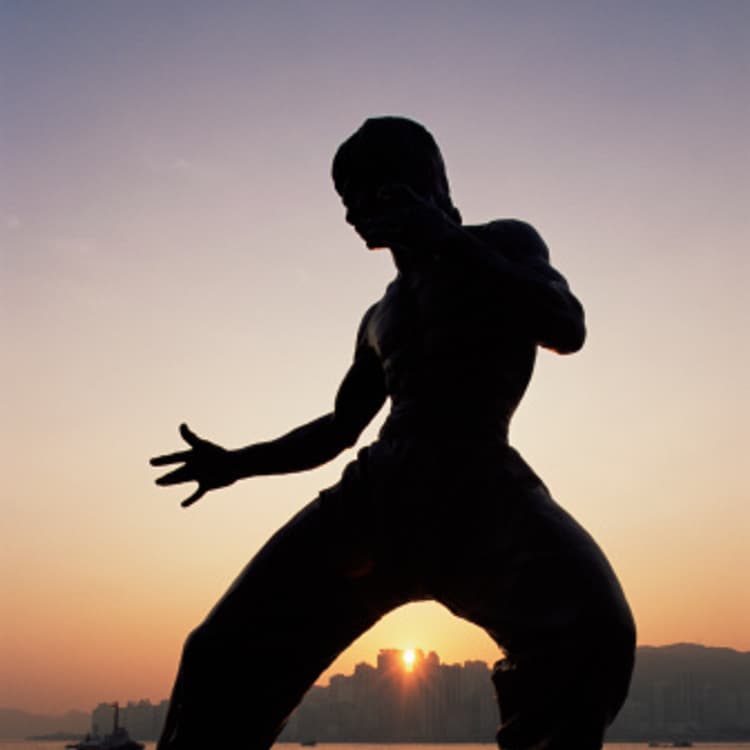 bruce-lee-statue-silhouette