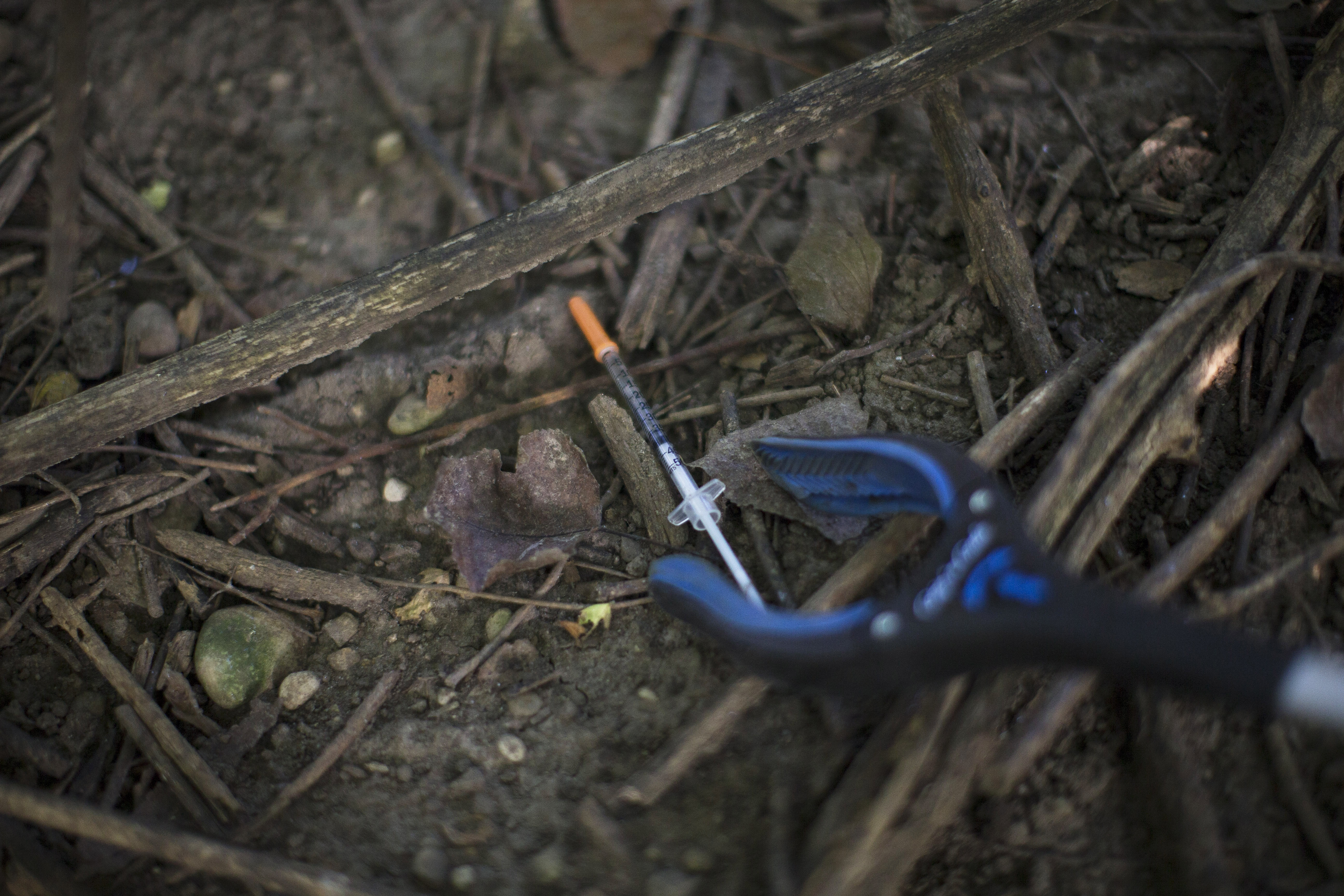 A loaded heroin syringe is found in the underbrush of a wooded area in Combs Park in Hamilton, Ohio, Sept. 17, 2015.
