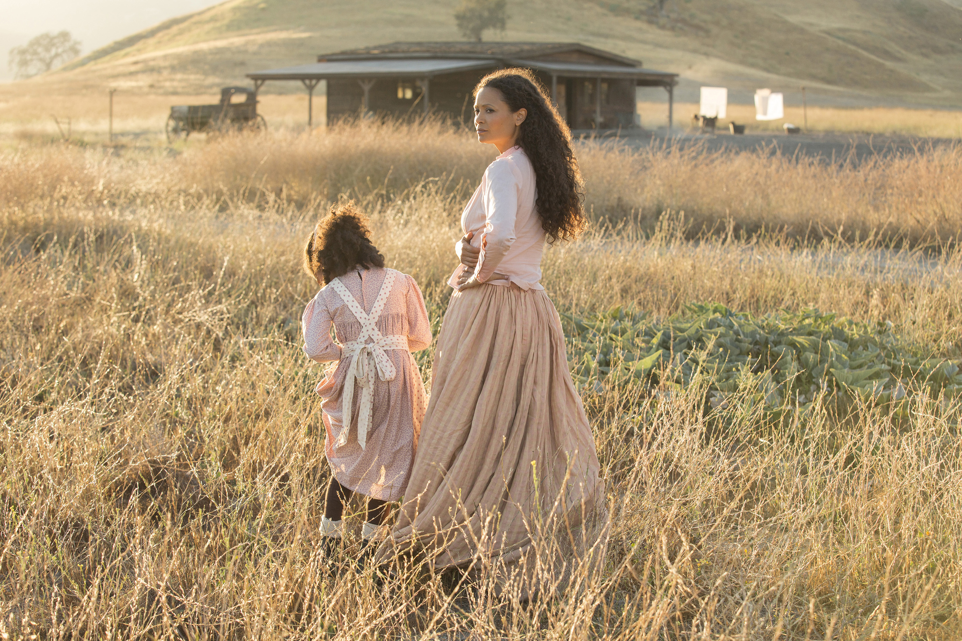Westworld: Questions Season 1 Episode 10 Finale