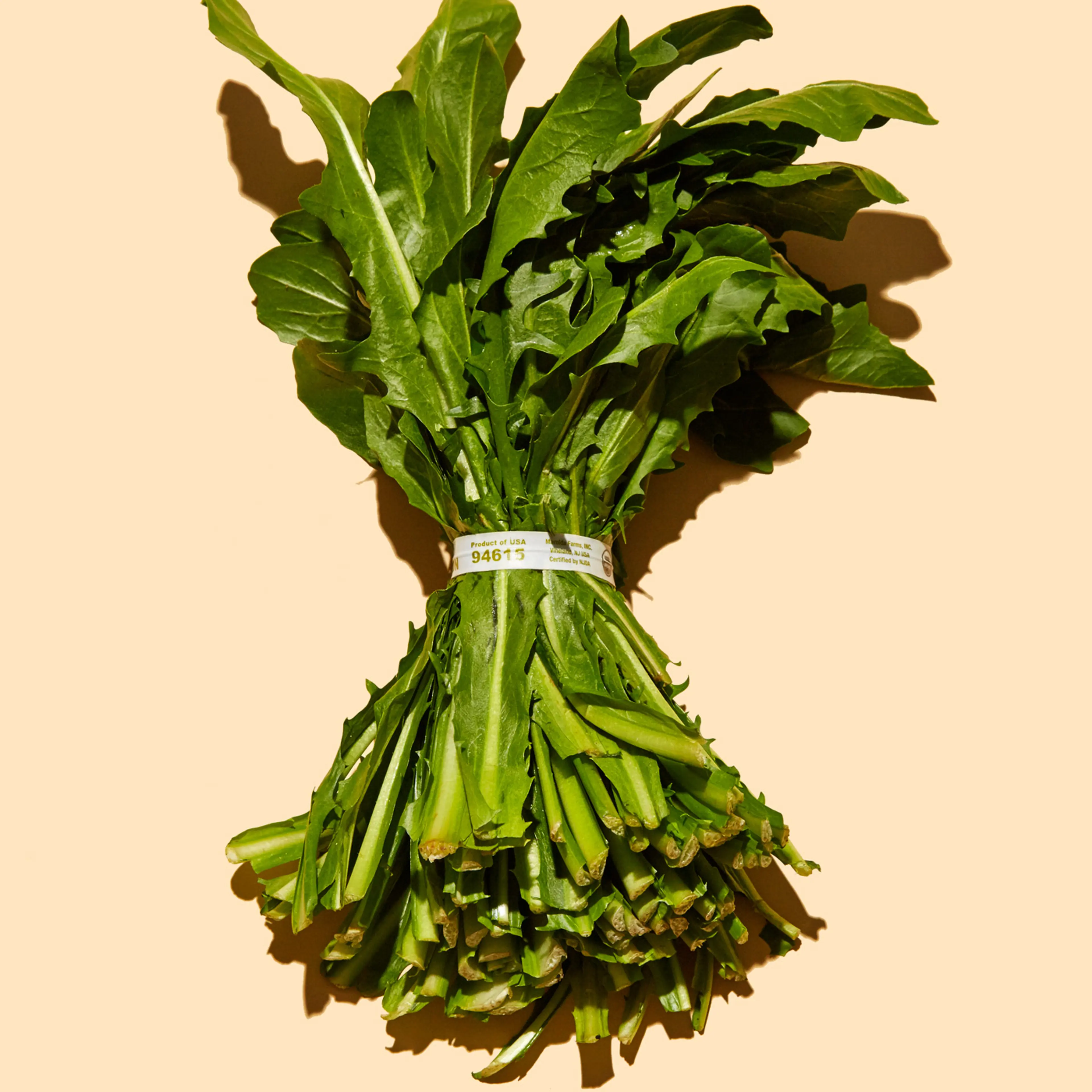 healthiest foods, health food, diet, nutrition, time.com stock, dandelion greens