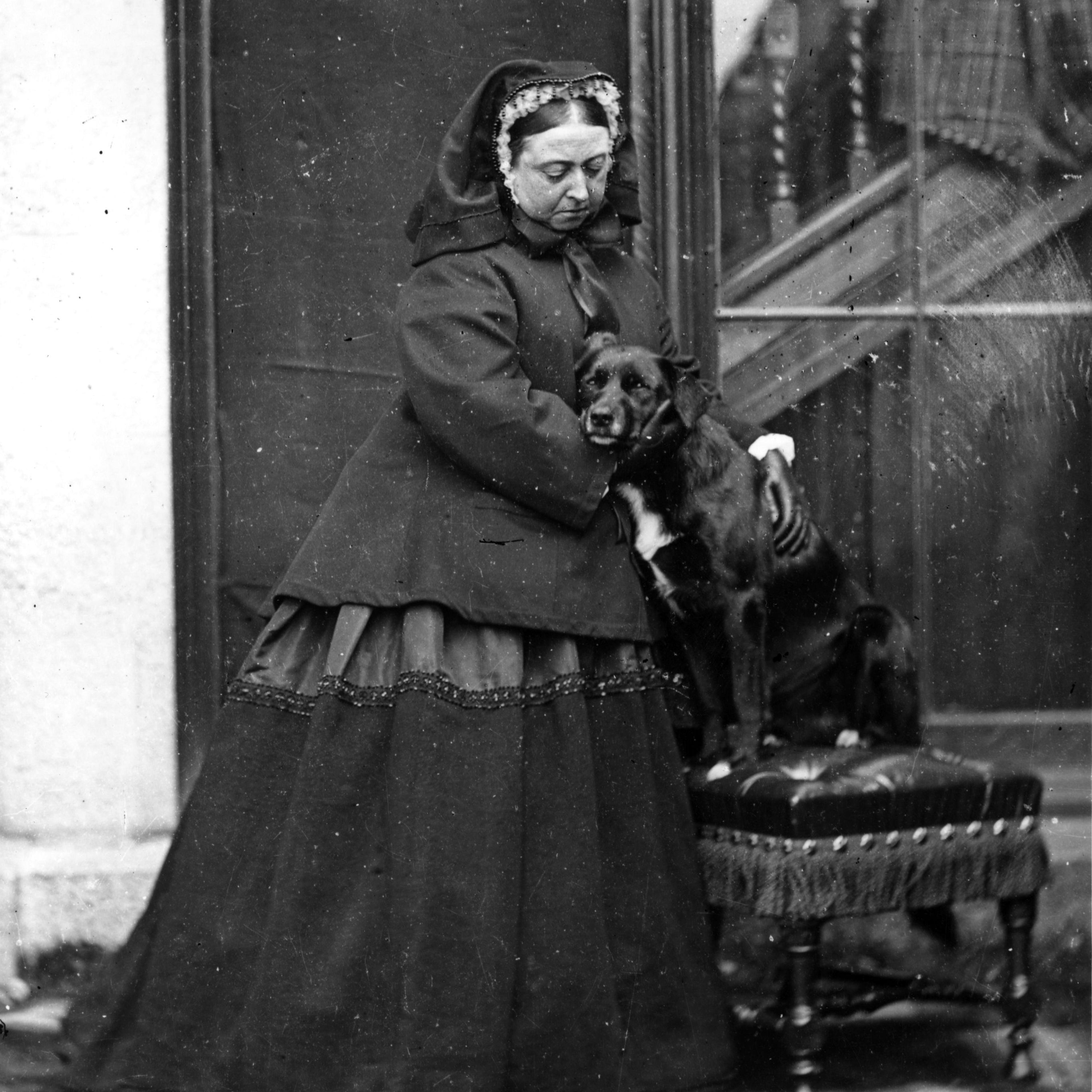 The Queen's Dog