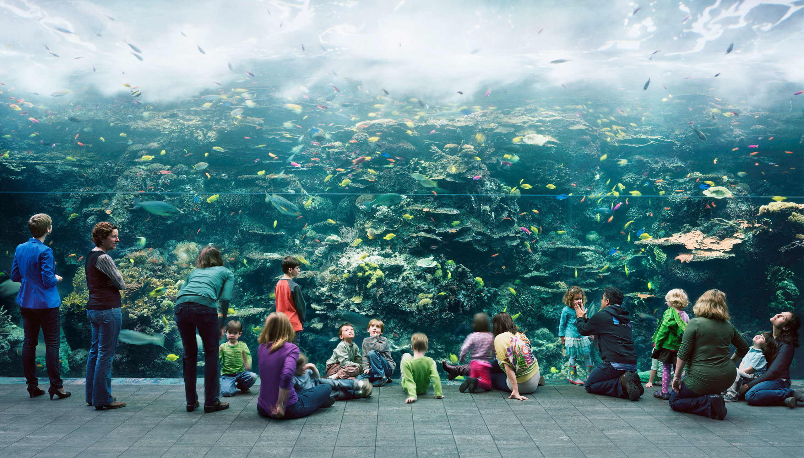 Thomas Struth (German, born 1954), Aquarium, Atlanta, Georgia, 2013, chromogenic print, 81.7 x 140.5 inches. High Museum of Art, Atlanta, purchase with funds from the Donald and Marilyn Keough Family, the Hagedorn Family, Lucinda W. Bunnen for the Bunnen Collection, and through prior acquisitions, 2014.23. 