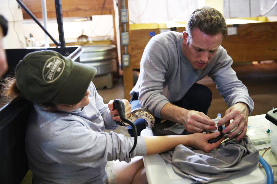 More than 30 reptiles have died inside Zoo Knoxville in Tennessee, officials said.