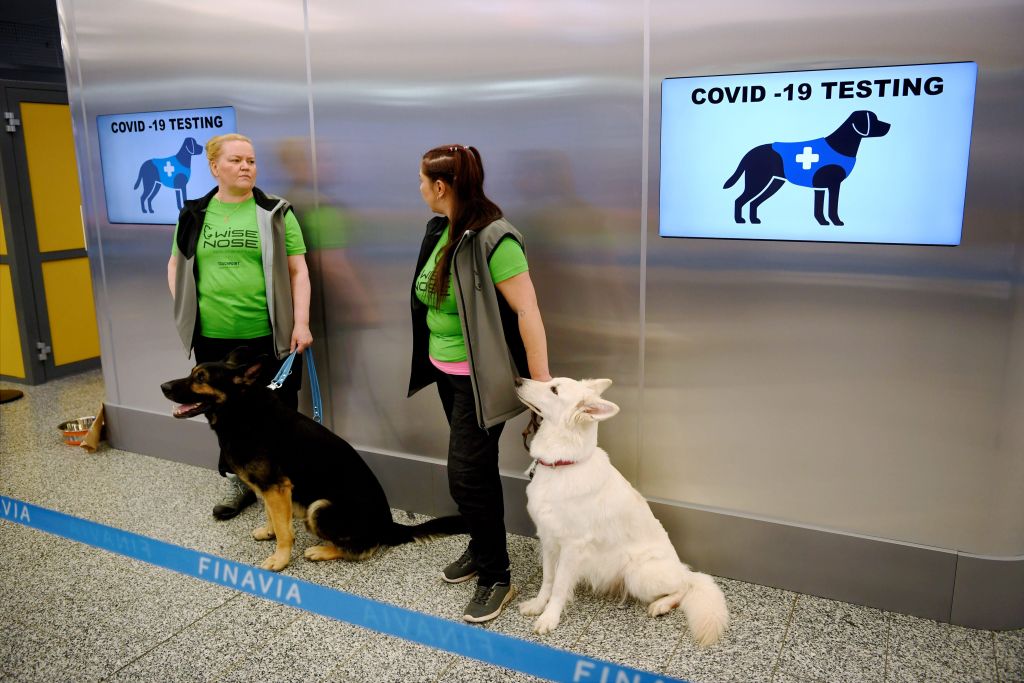COVID-19-Dogs