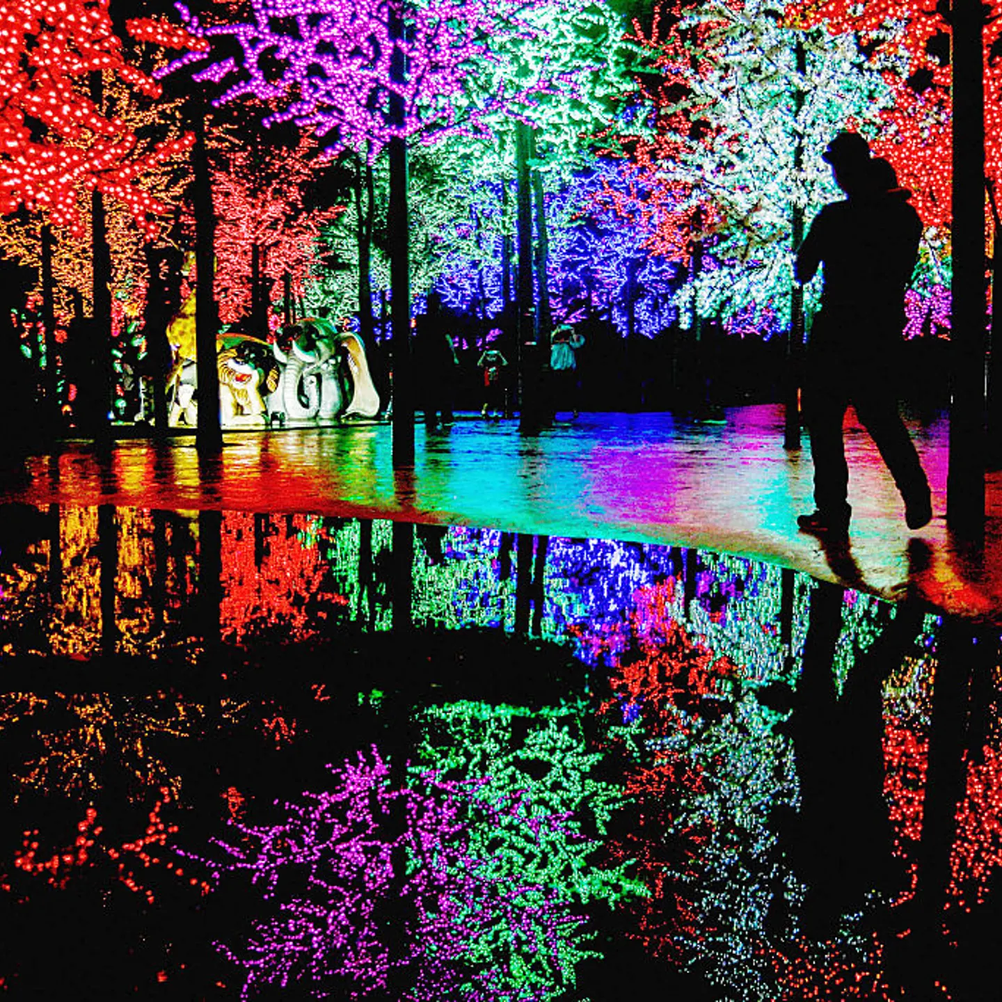 A man is silhouetted surrounding by LED light decorated display ahead of holiday celebrations on December 23, 2016 in Shah Alam, Malaysia.