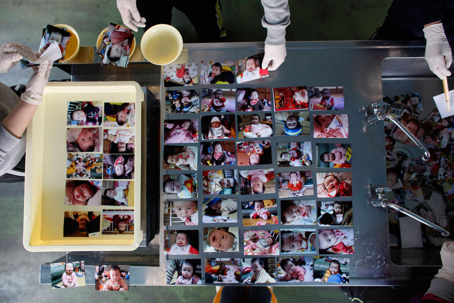 A Volunteer cleans baby photos recovered from earthquake and tsunami in the Ofunato, Iwate prefacture, Japan on April 12, 2011.