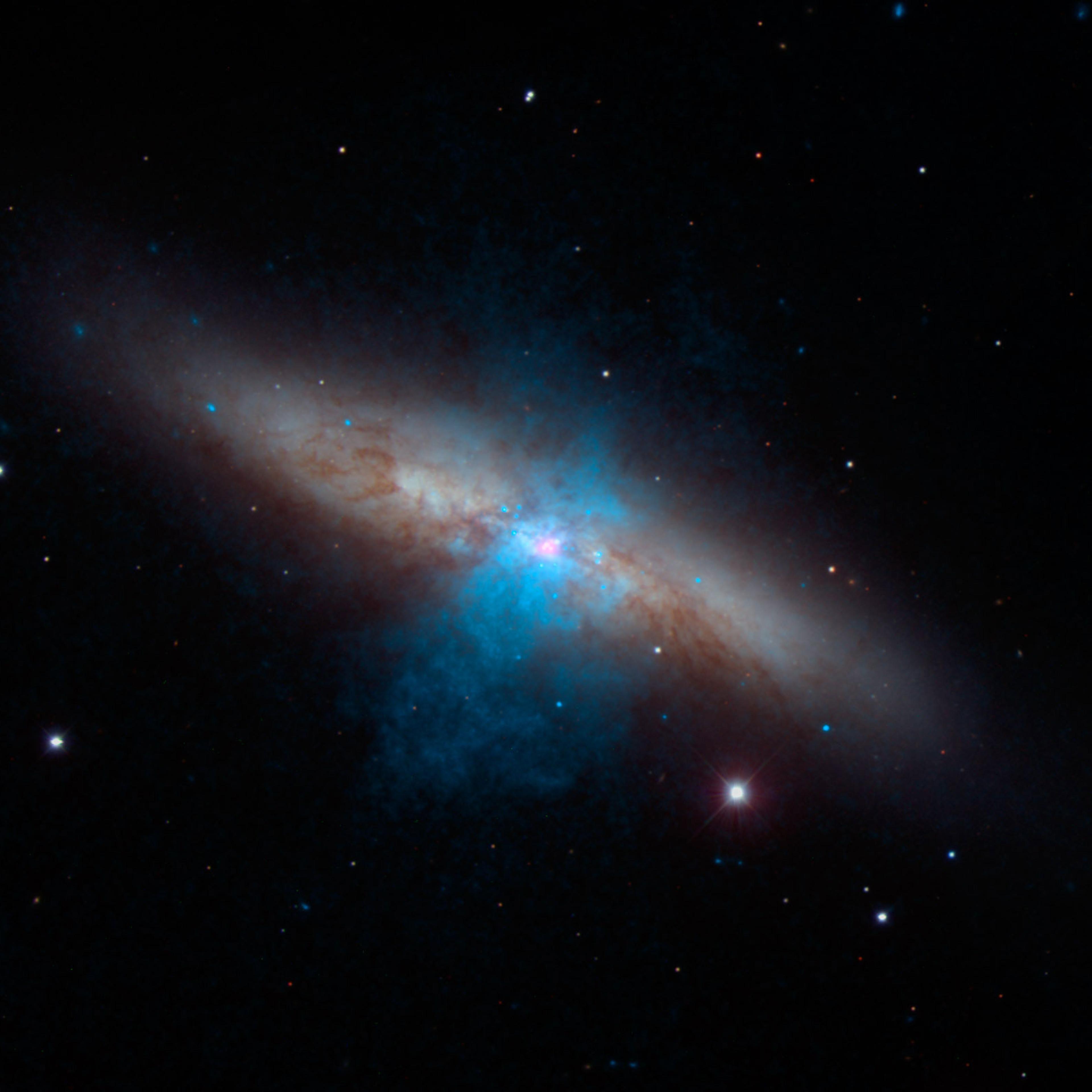 A rare and mighty pulsar (pink) can be seen at the center of the galaxy Messier 82 in this new multi-wavelength portrait, released on Oct. 8, 2014.