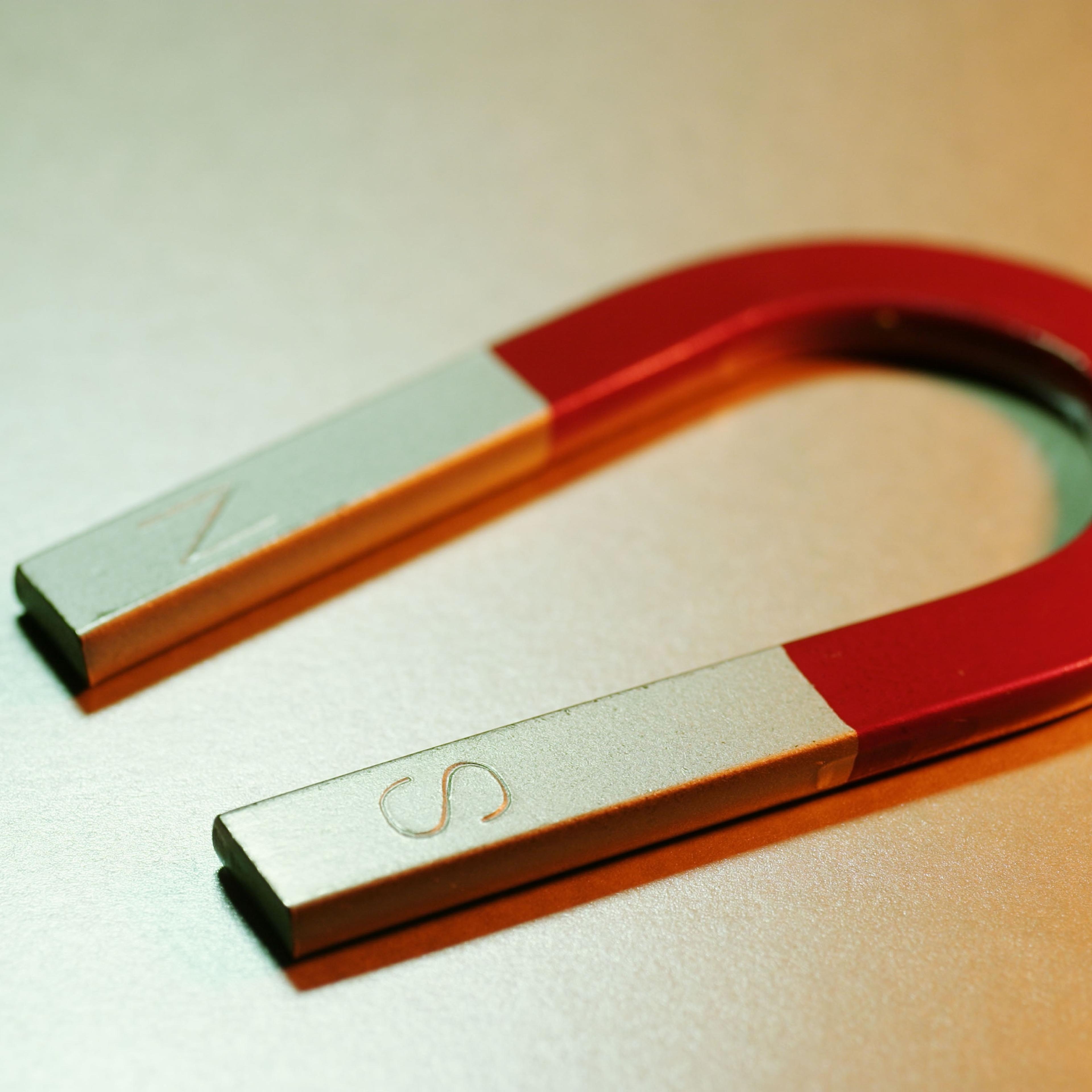 Magnet