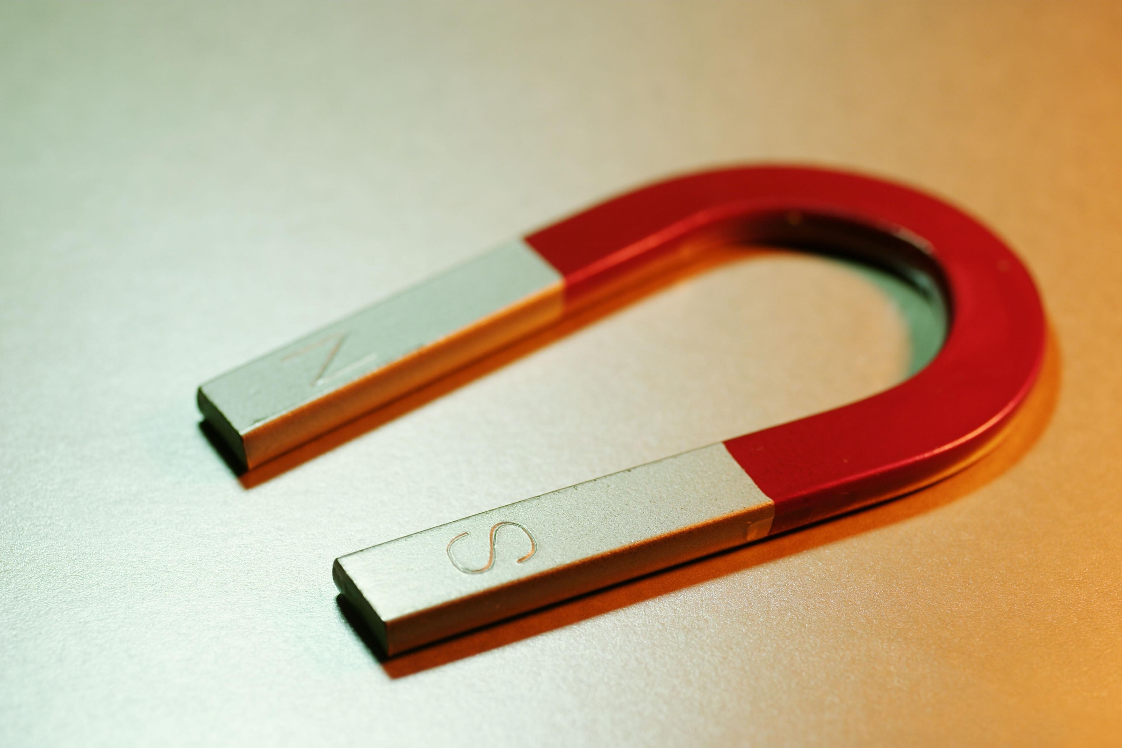 Magnet