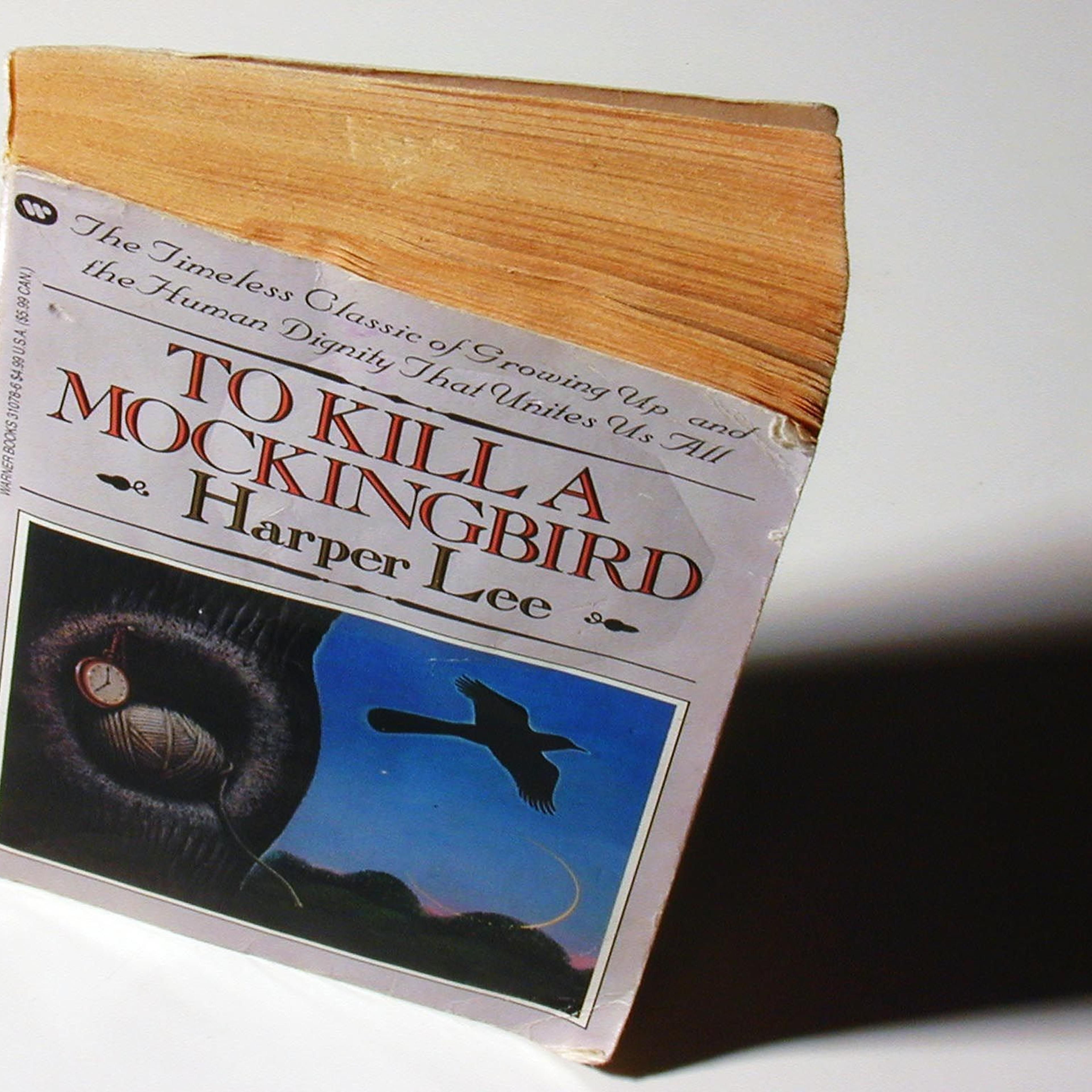 to kill a mockingbird ban mississippi school district