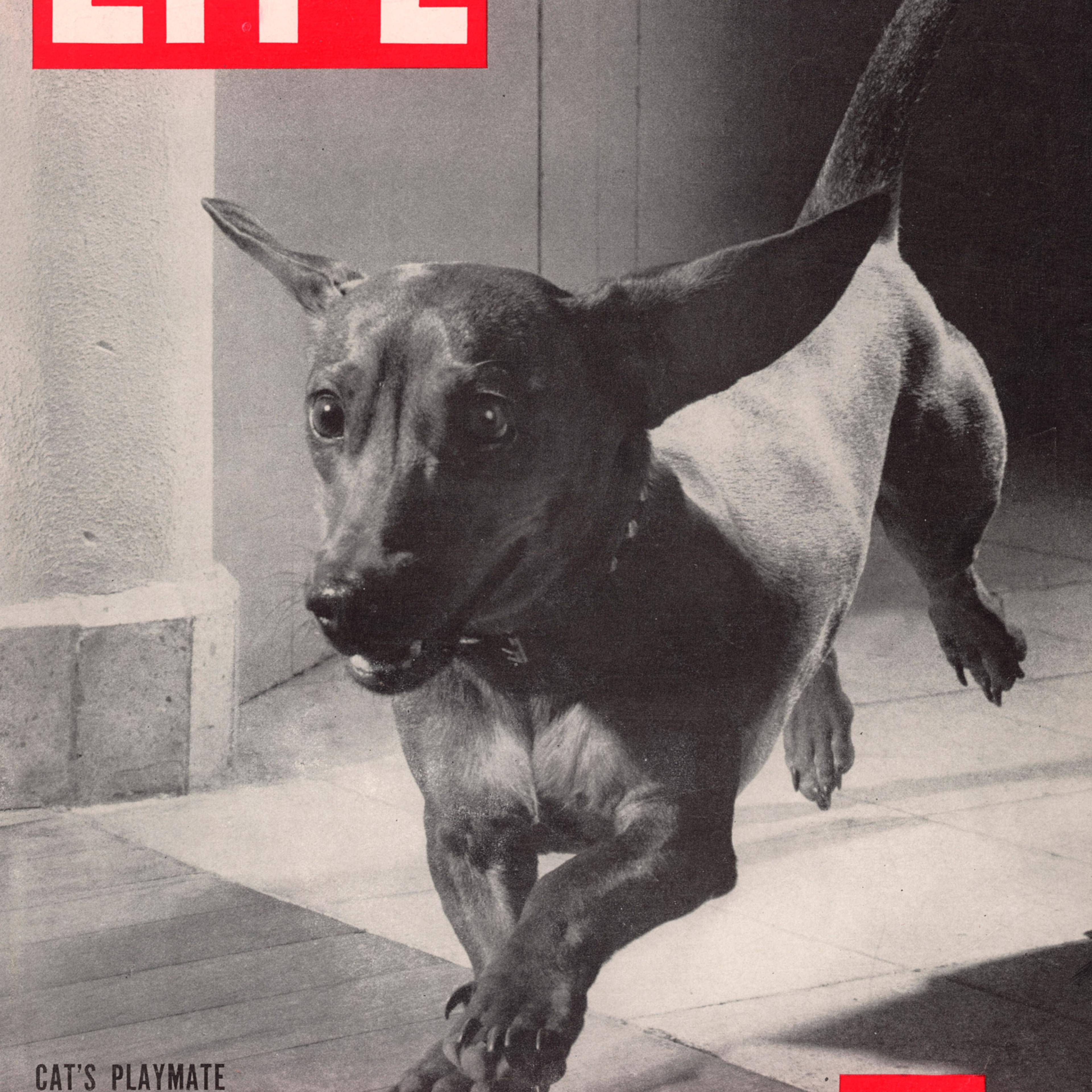 September 23, 1946 LIFE Magazine cover