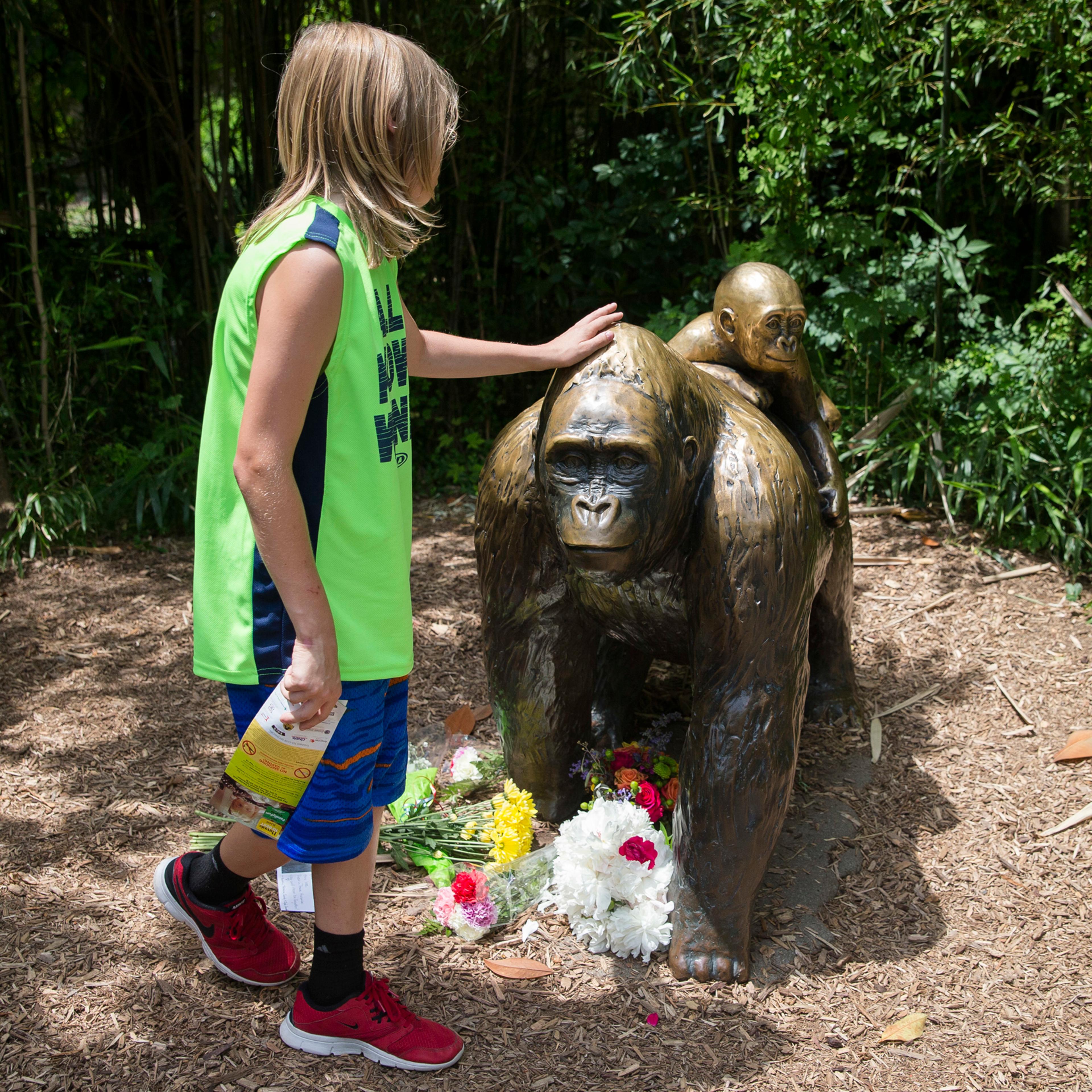 A child touches the head of a gorilla statue where flowers have been placed outside the Gorilla World exhibit at the Cincinnati Zoo & Botanical Garden, Sunday, May 29, 2016, in Cincinnati. On Saturday, a special zoo response team shot and killed Harambe,