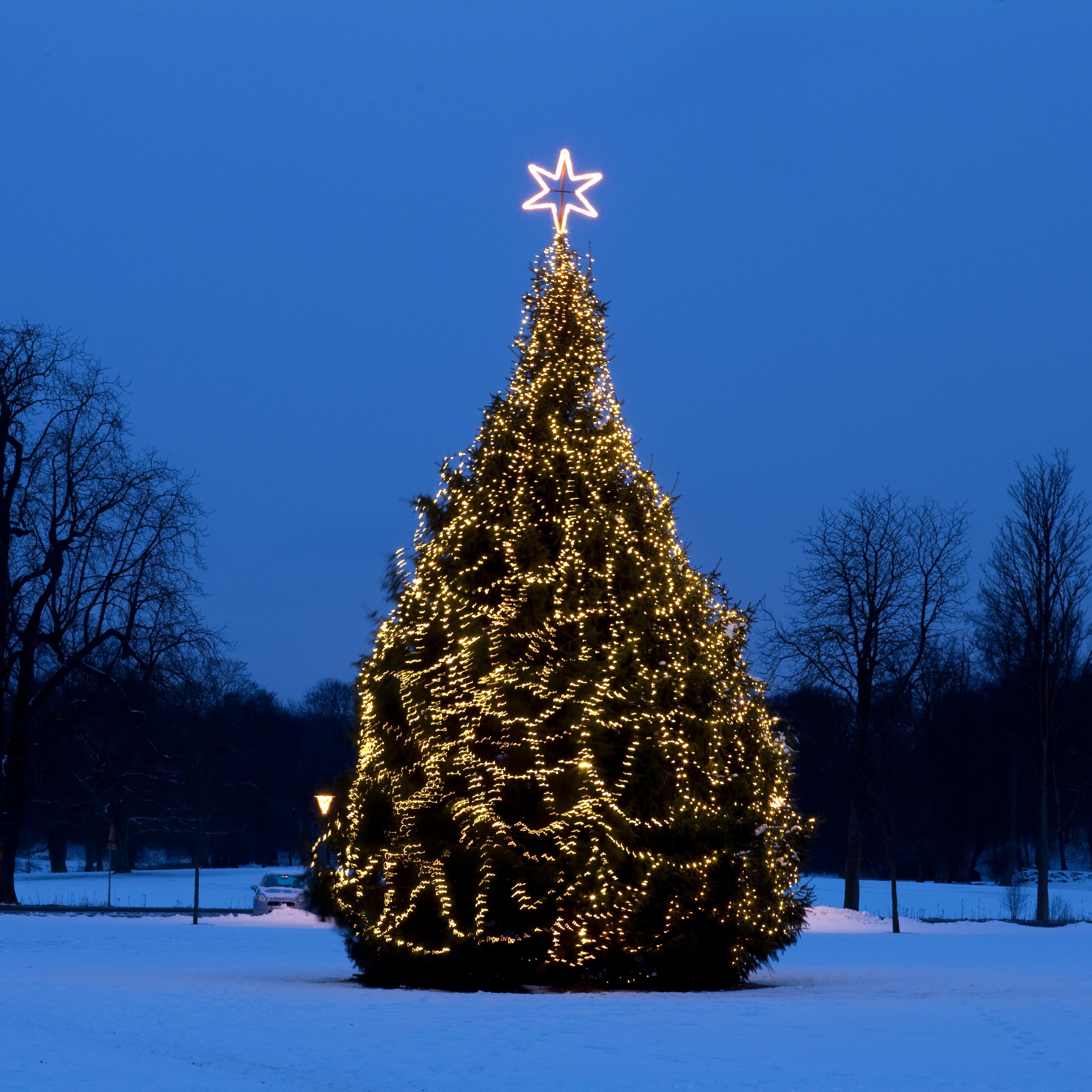 christmas-tree