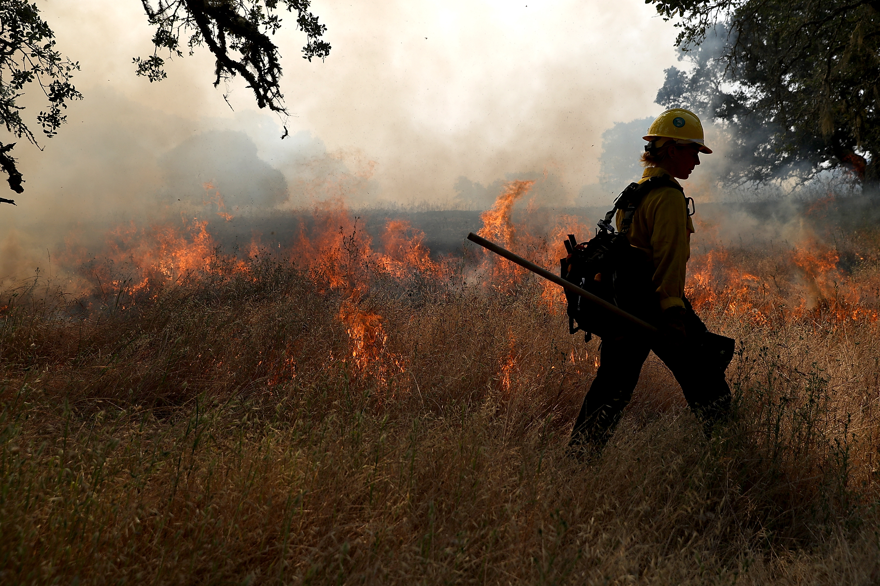 Cal Fire Conducts Controlled Burn In Sonoma Valley