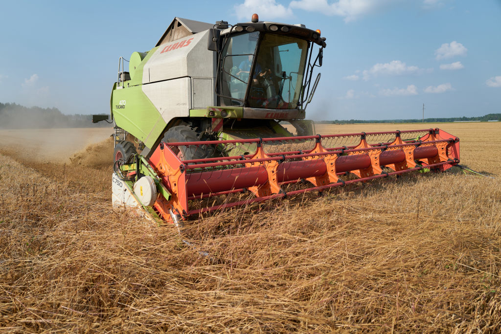 Agricultural workers harvest a large field of barley near the border with Russia in the Chernihiv region on August 30, 2023 in Chernihiv, Ukraine.