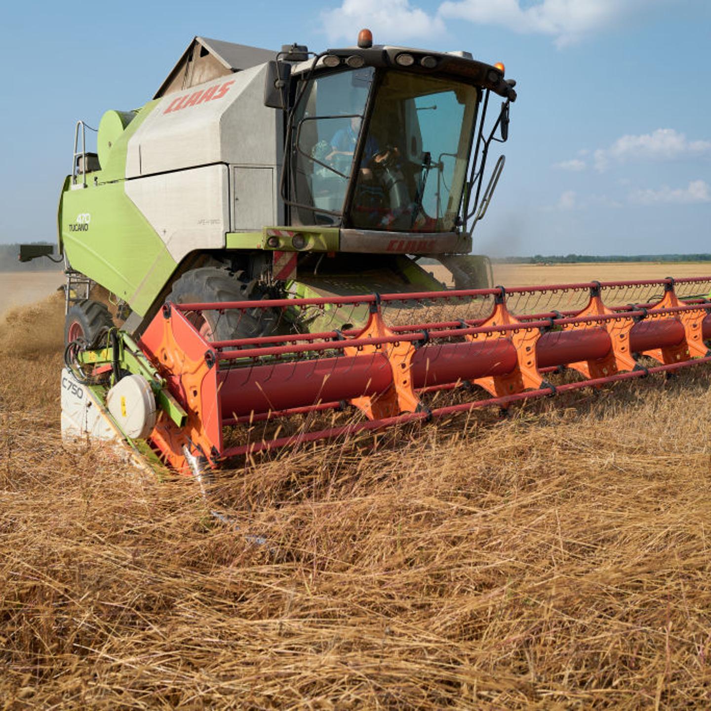 Agricultural workers harvest a large field of barley near the border with Russia in the Chernihiv region on August 30, 2023 in Chernihiv, Ukraine.