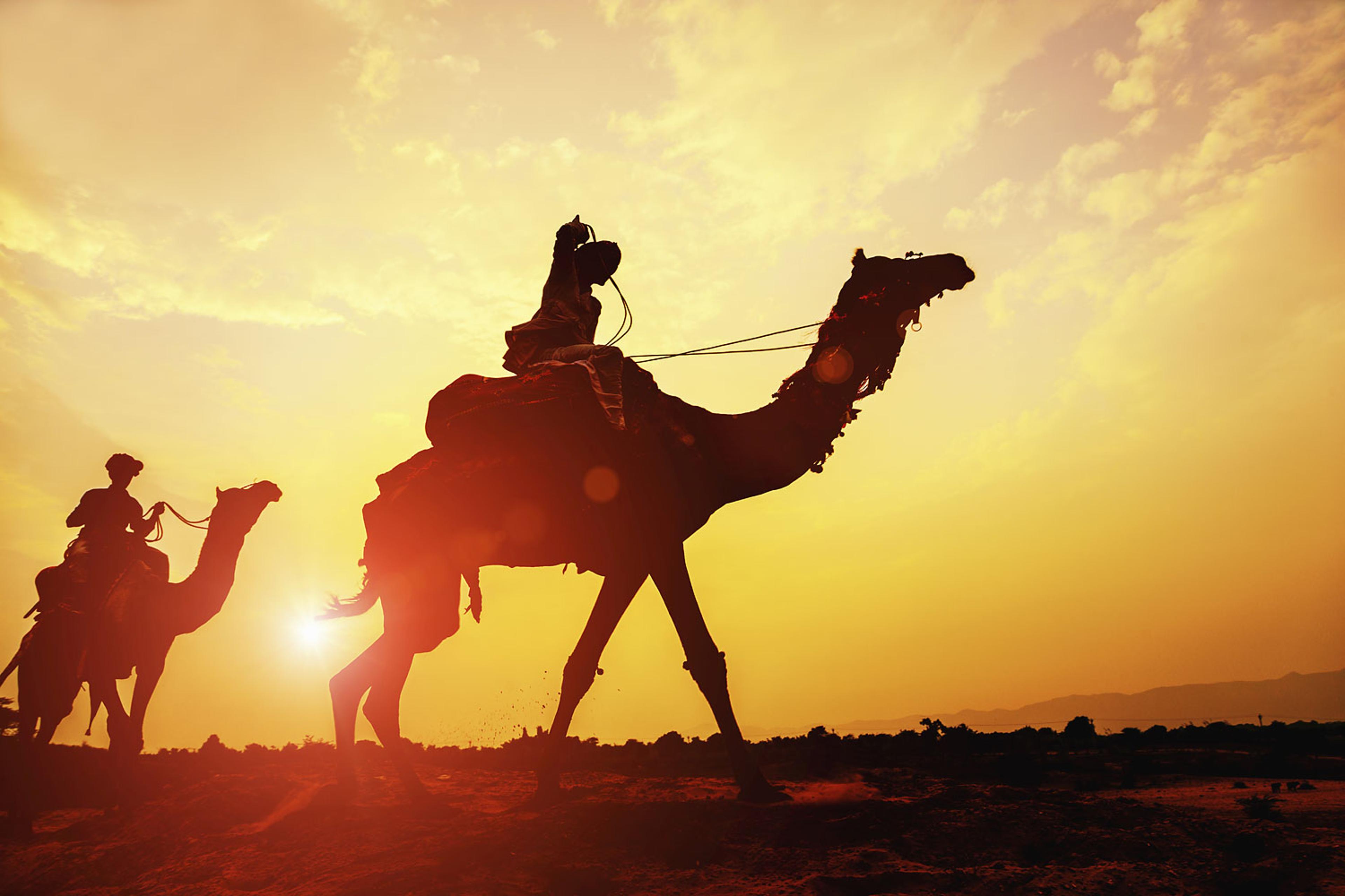Camel Caravan