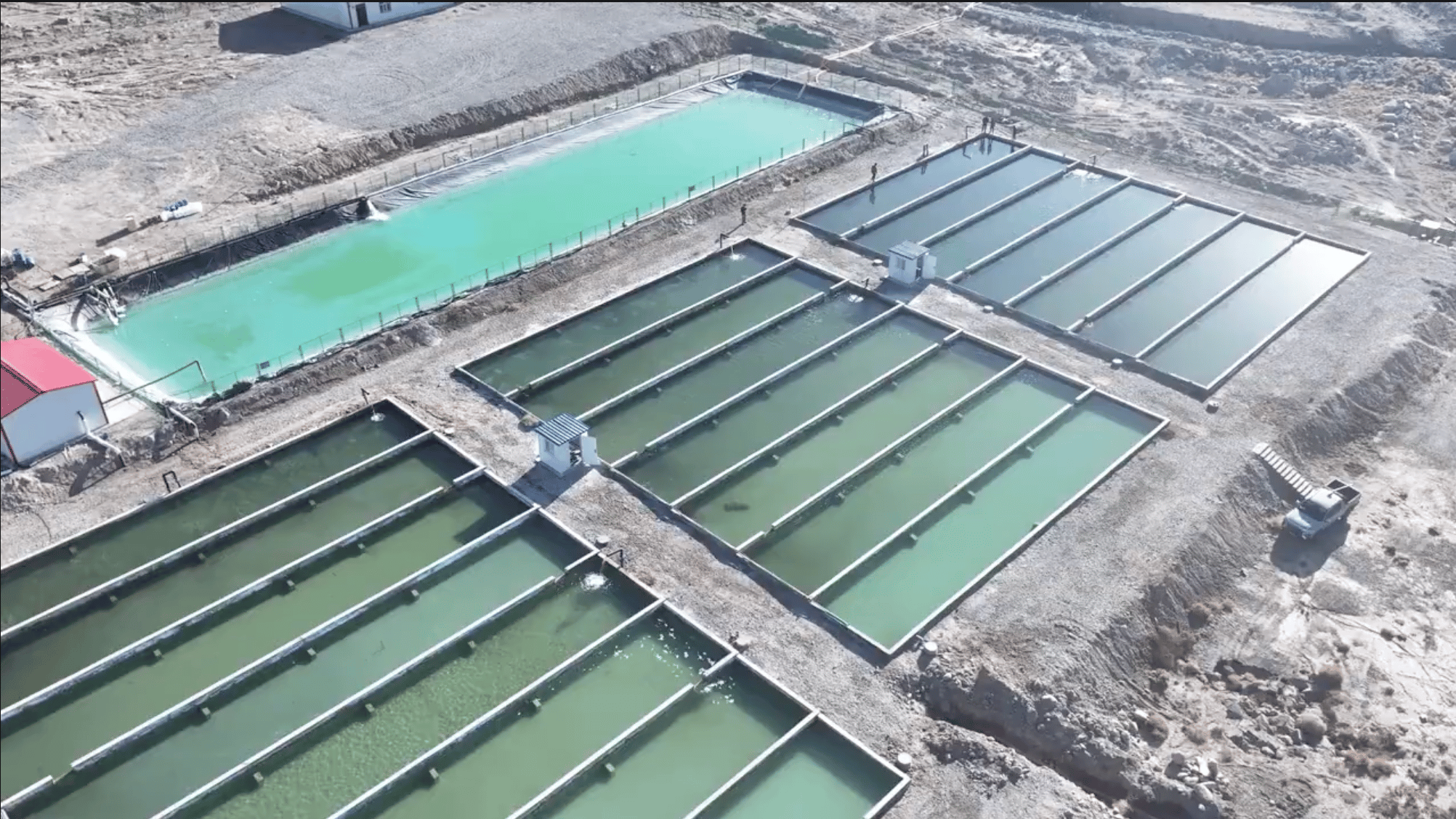 China quer vender peixes cultivados em Xinjiang para o mundo