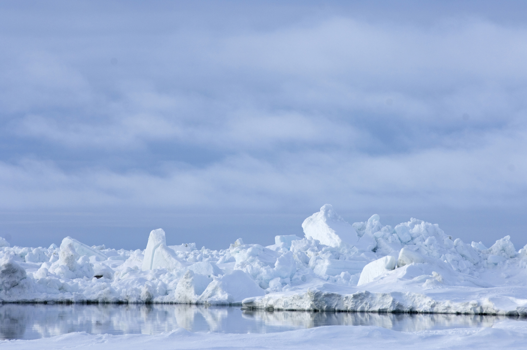 arctic drilling ban obama trump