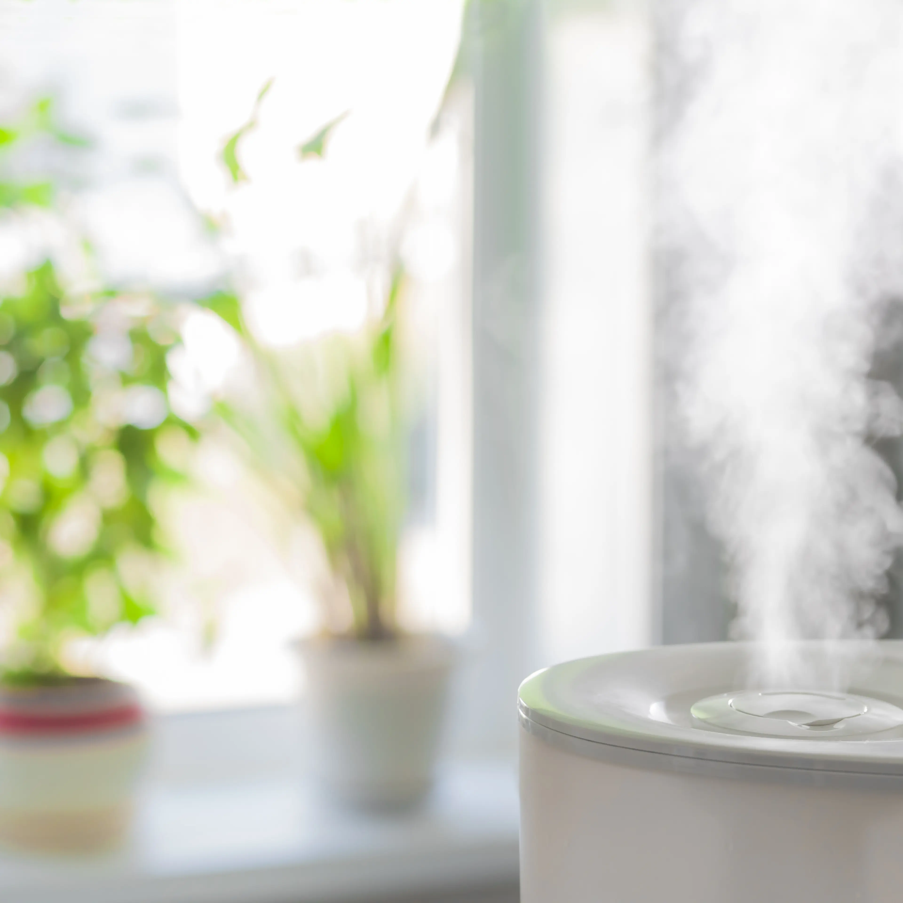 Humidifier spreading steam