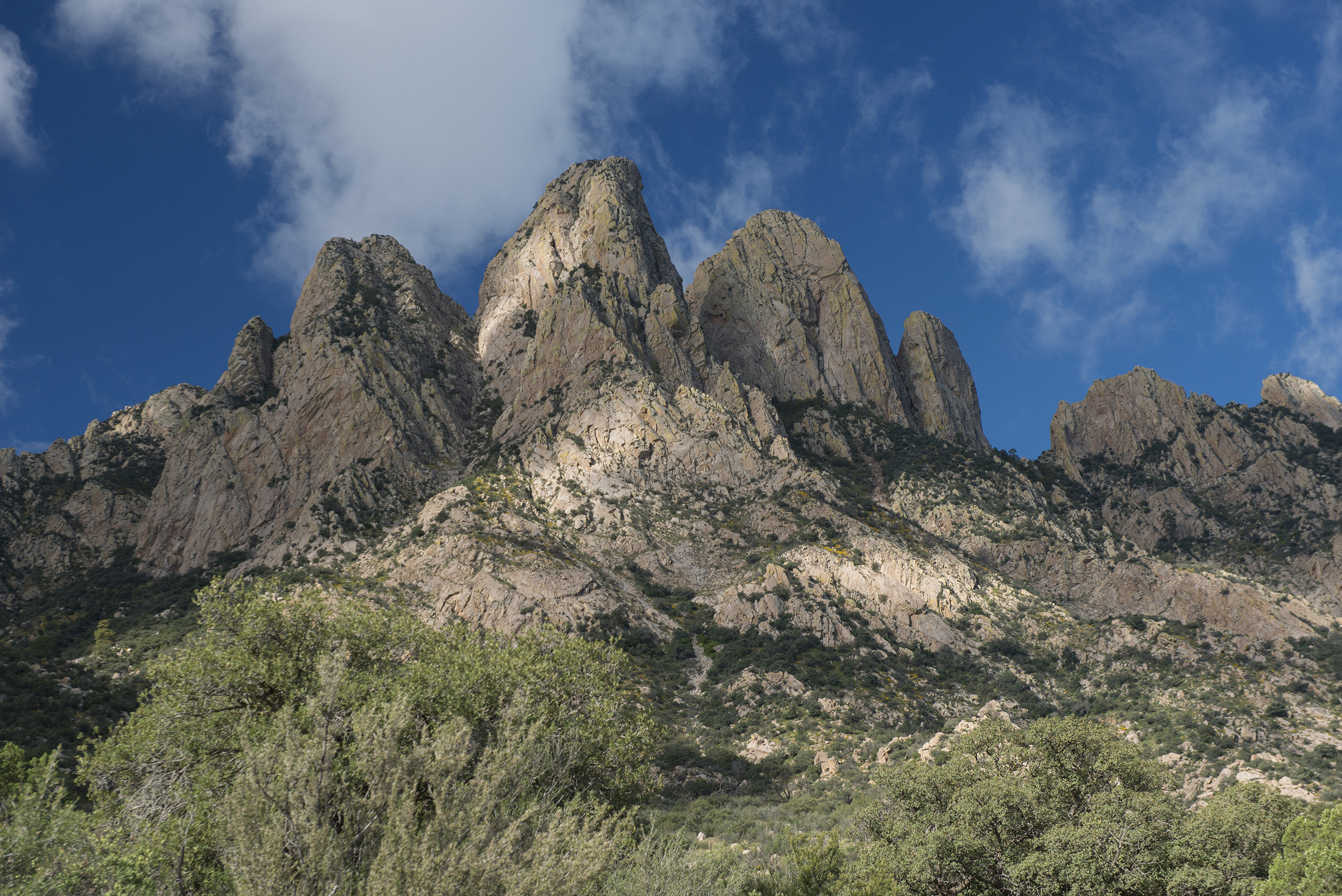 New Mexico