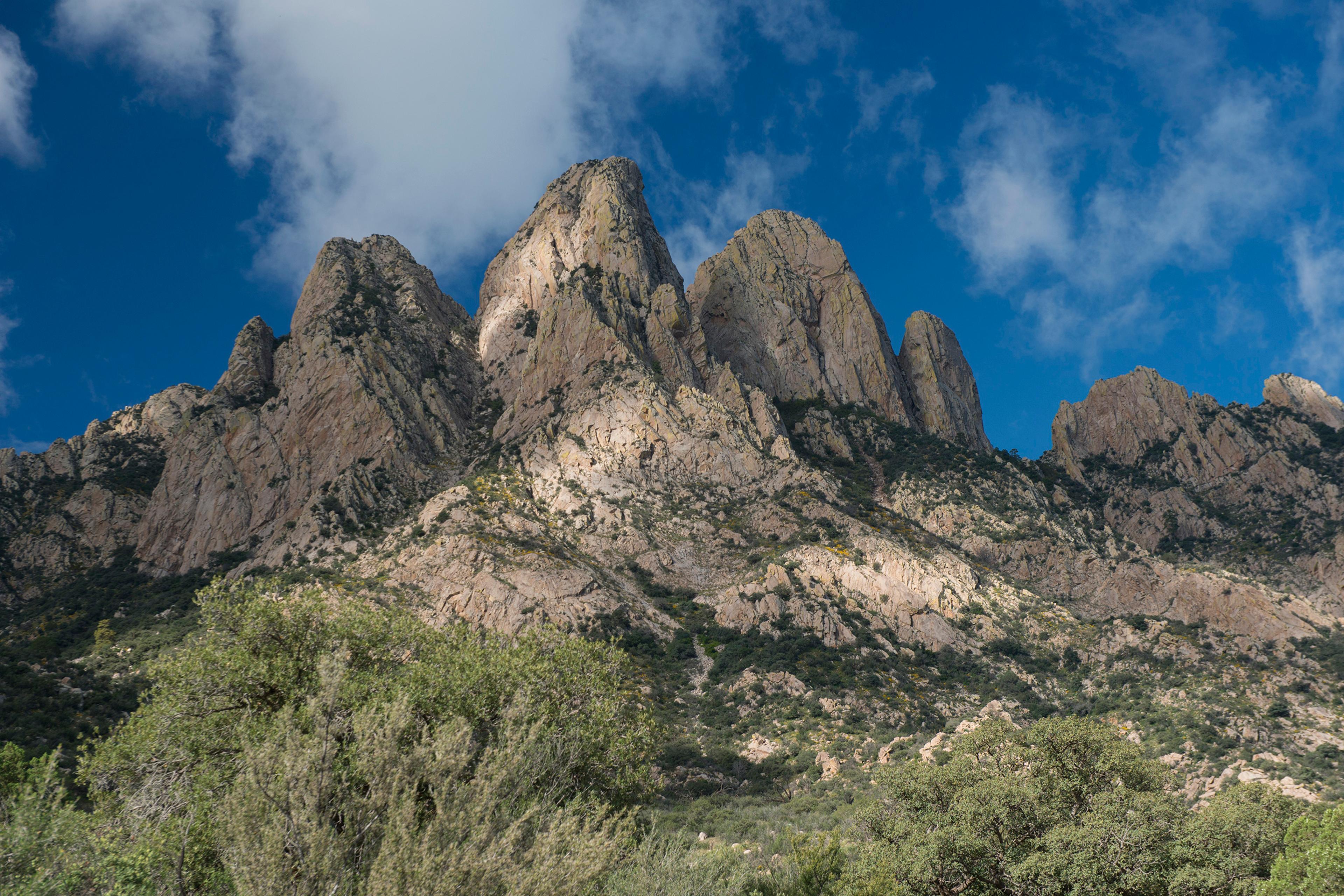 New Mexico