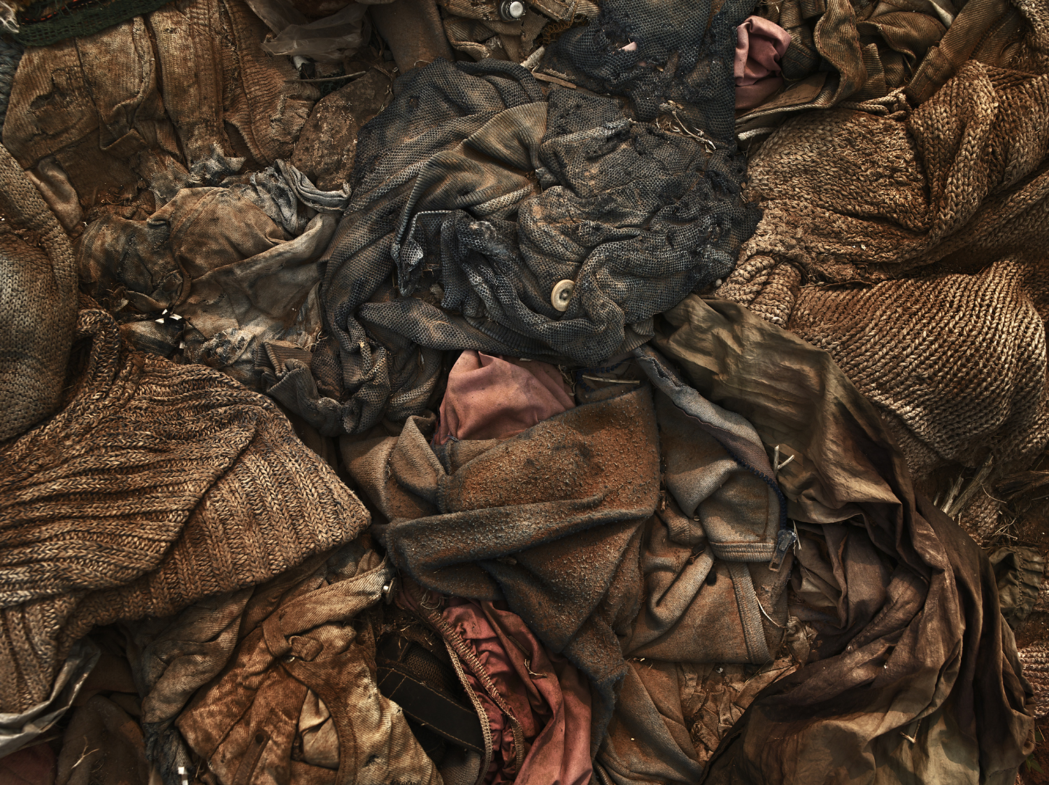 <i>Untitled (last refuge 194)</i>, 2011