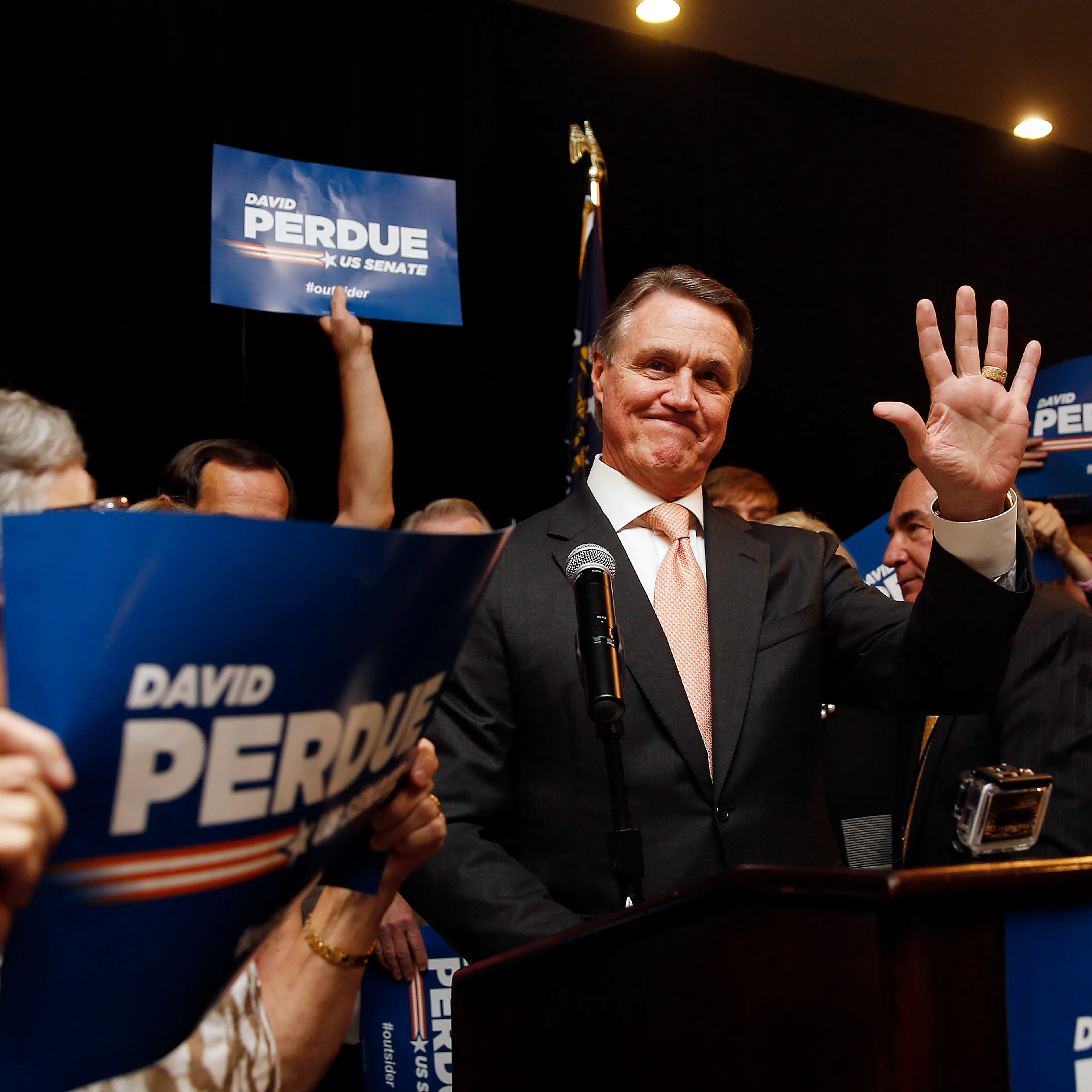 David Perdue Georgia Senate Race