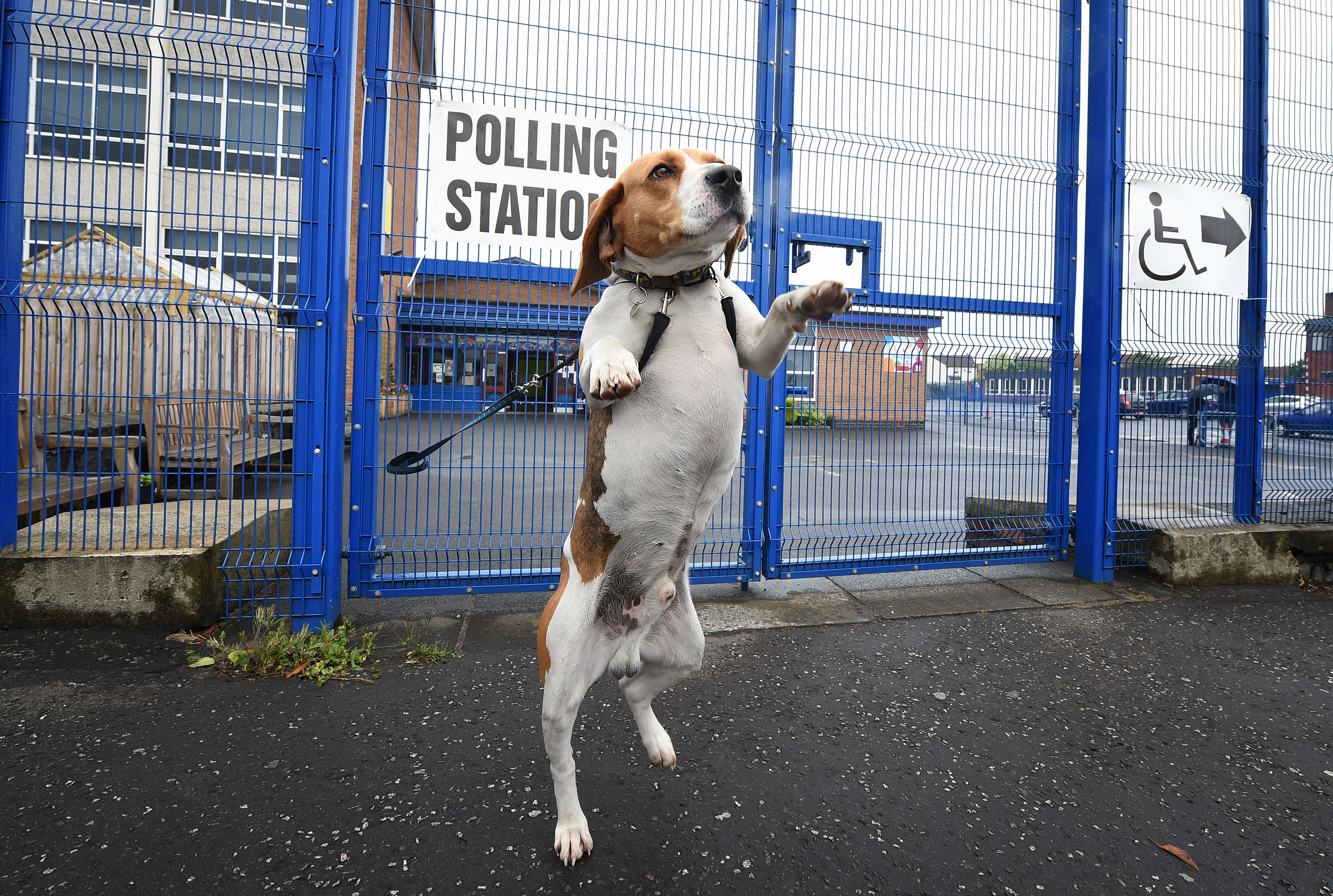 British Voters Go To The Polls In The 2017 General Election