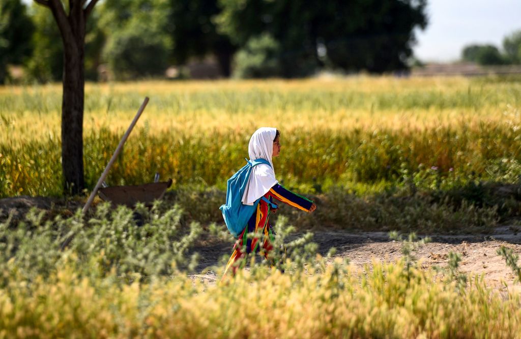 TOPSHOT-AFGHANISTAN-SOCIETY-EDUCATION