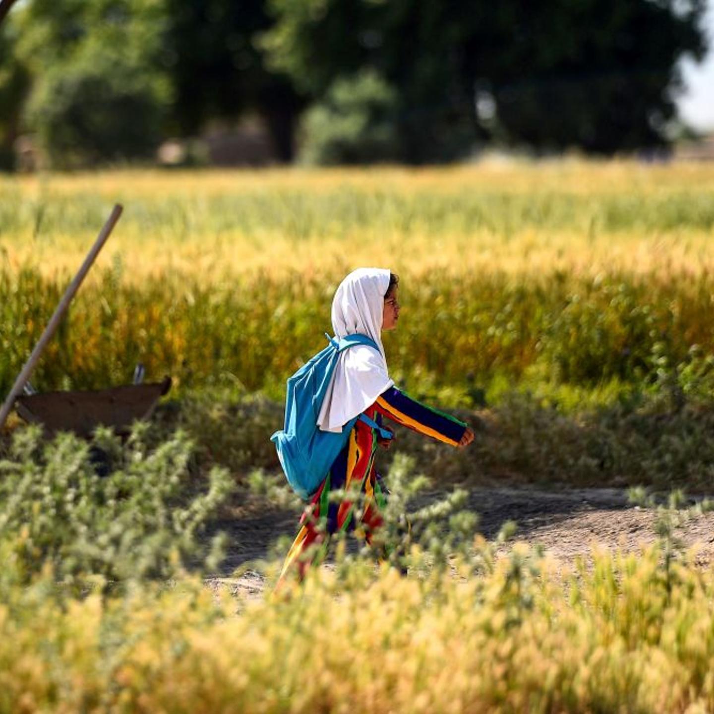 TOPSHOT-AFGHANISTAN-SOCIETY-EDUCATION