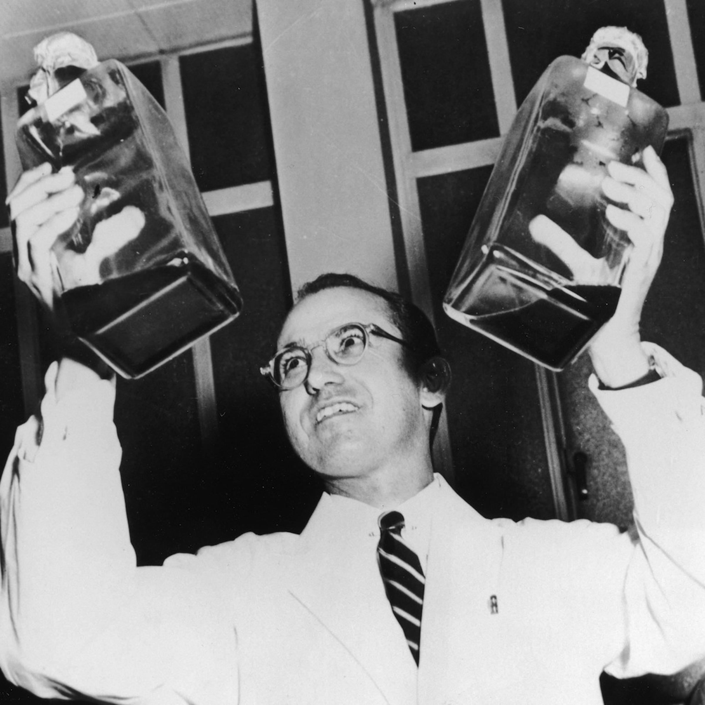 Salk