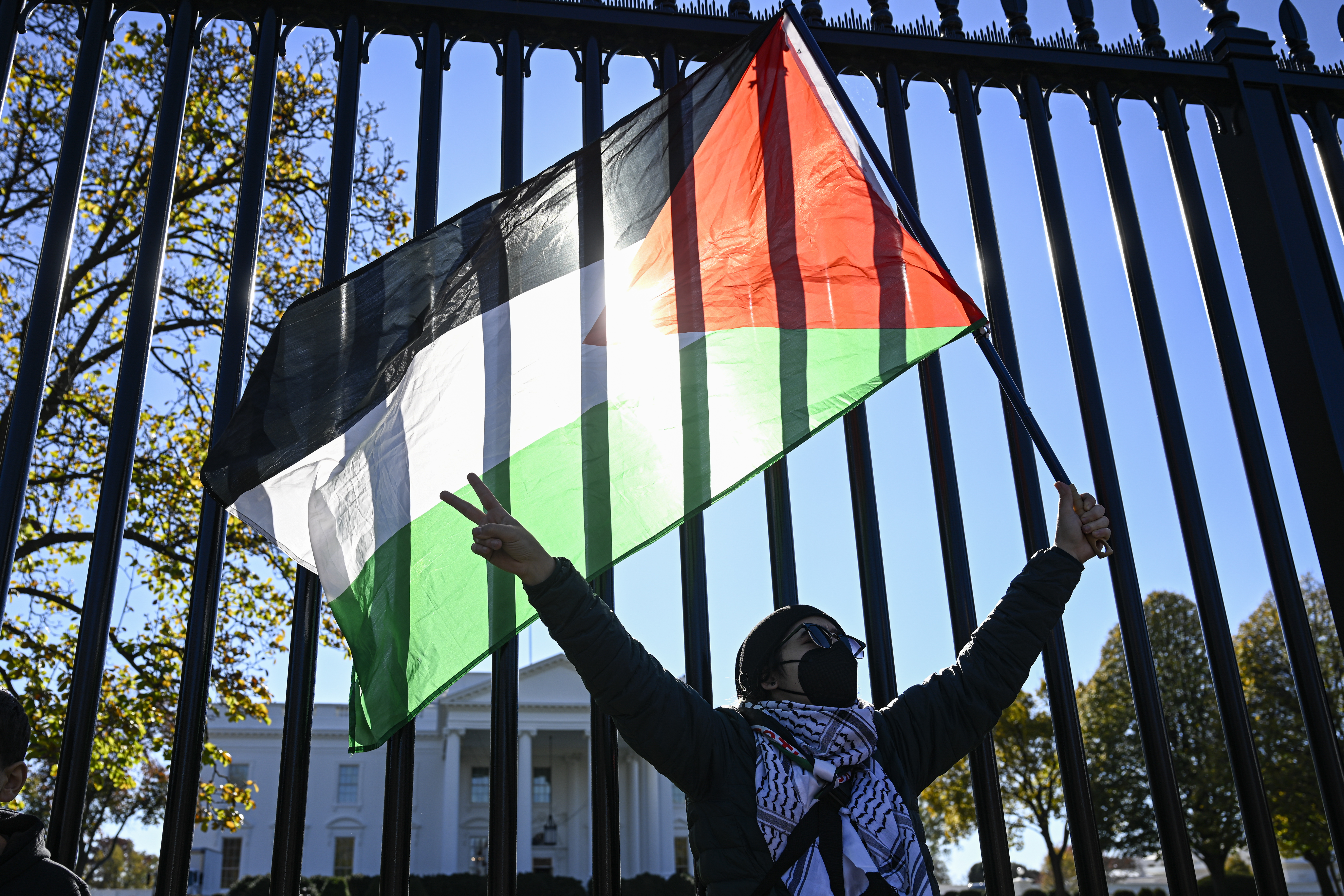 Palestine protest