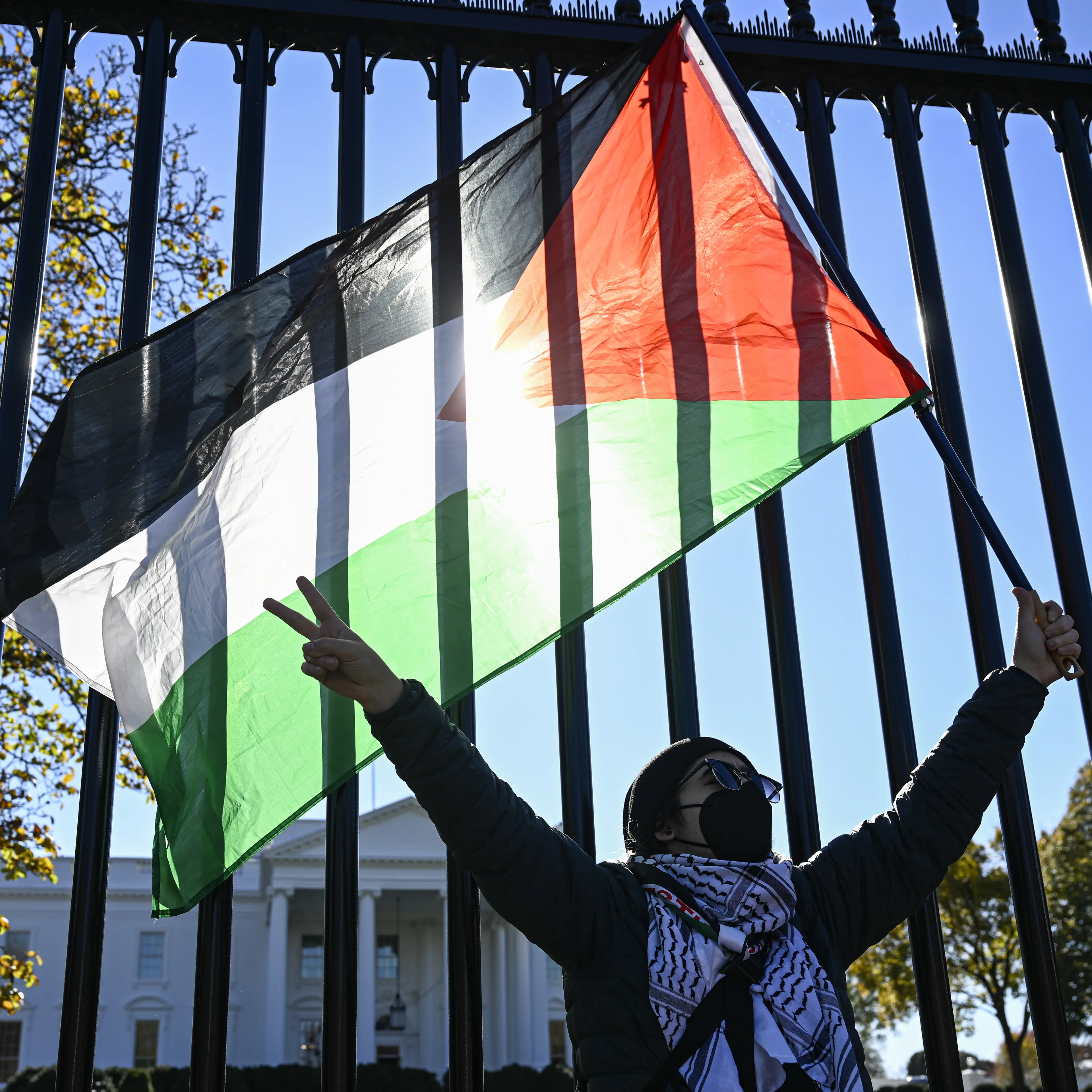 Palestine protest
