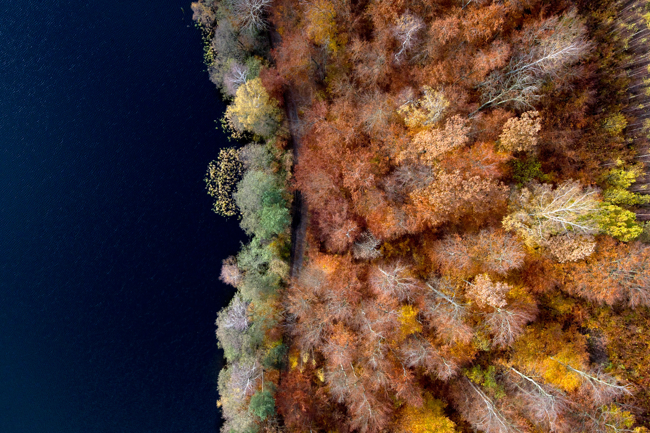 Is It Fall Yet?