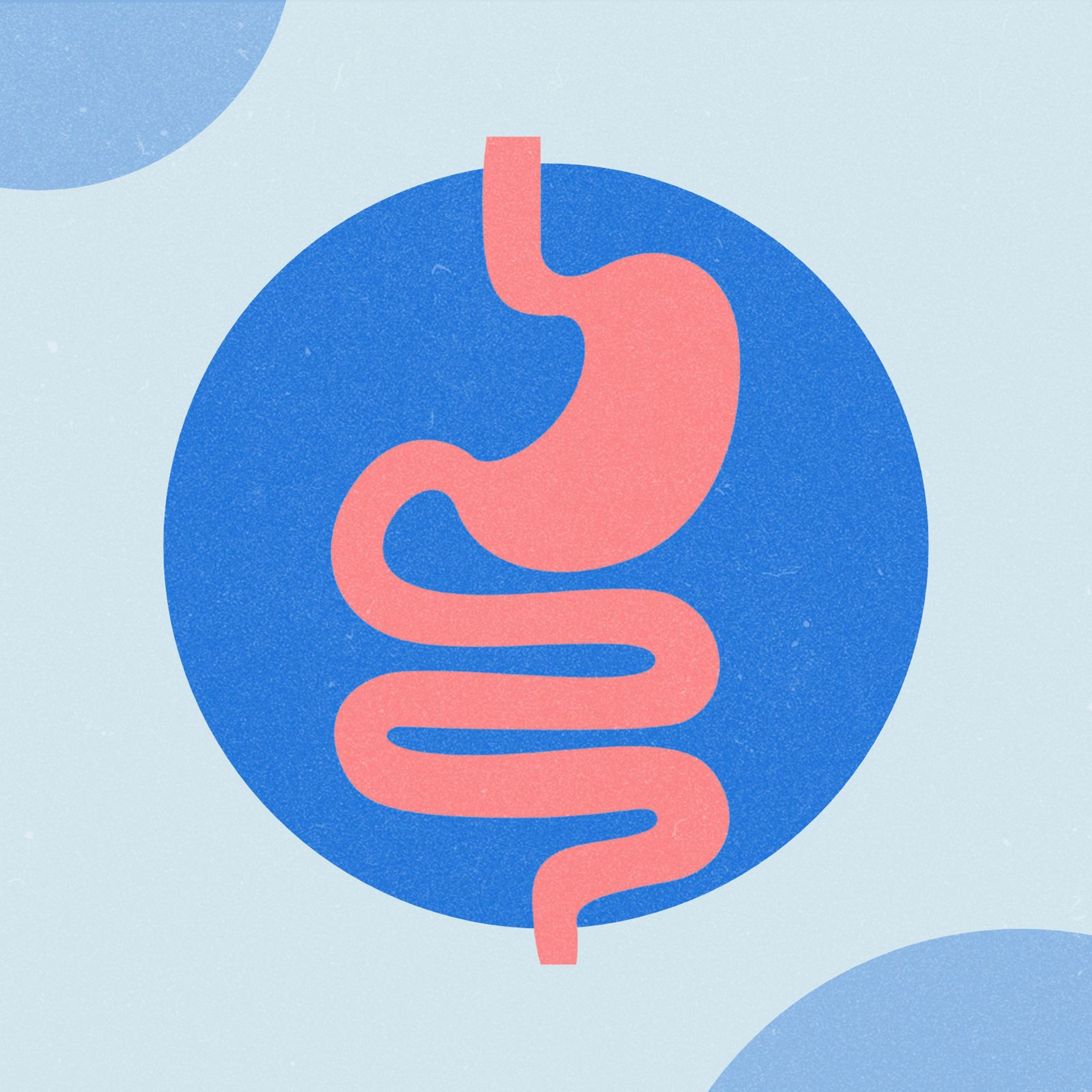 An illustration of the gastrointestinal tract