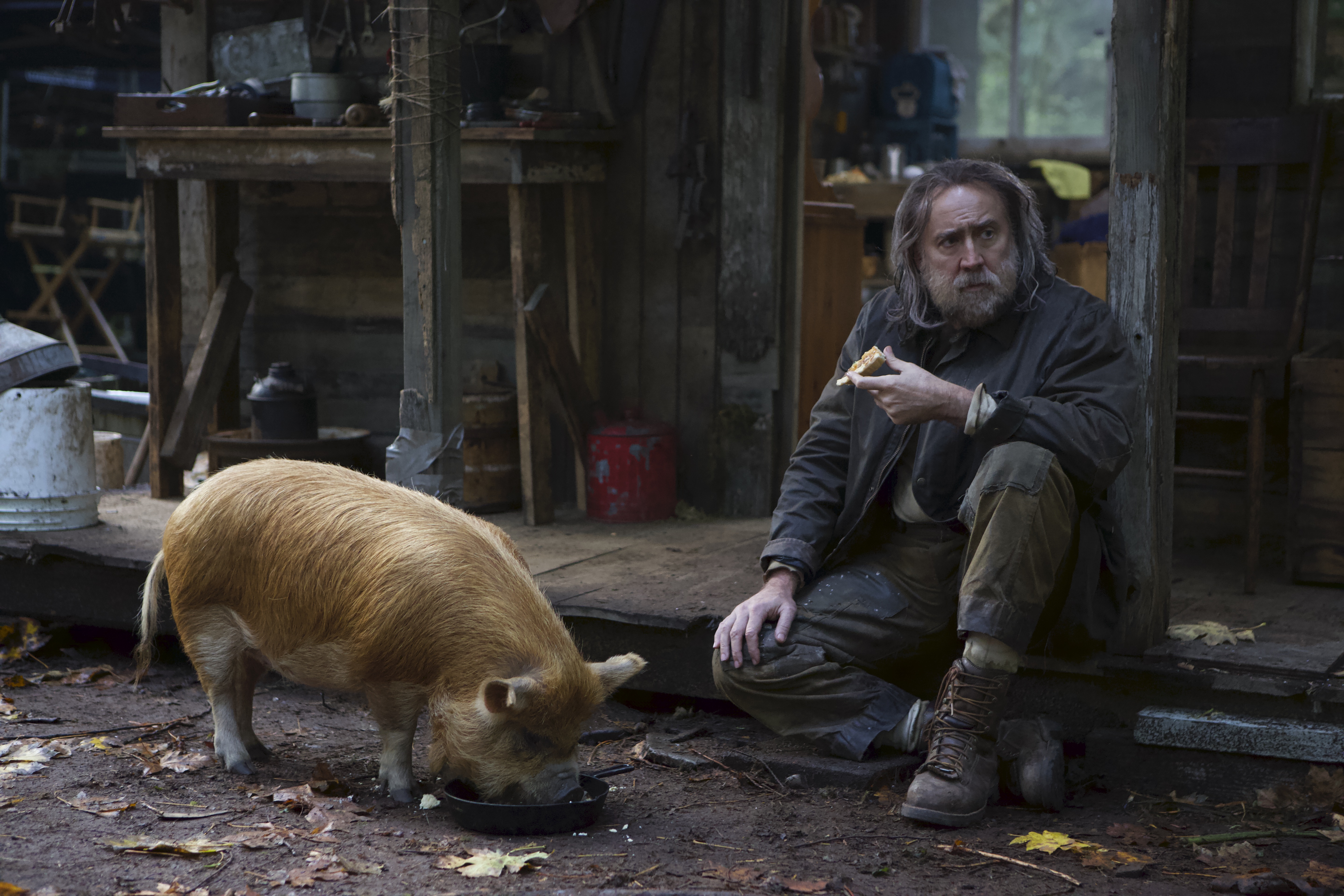 pig-nicolas-cage-truffle
