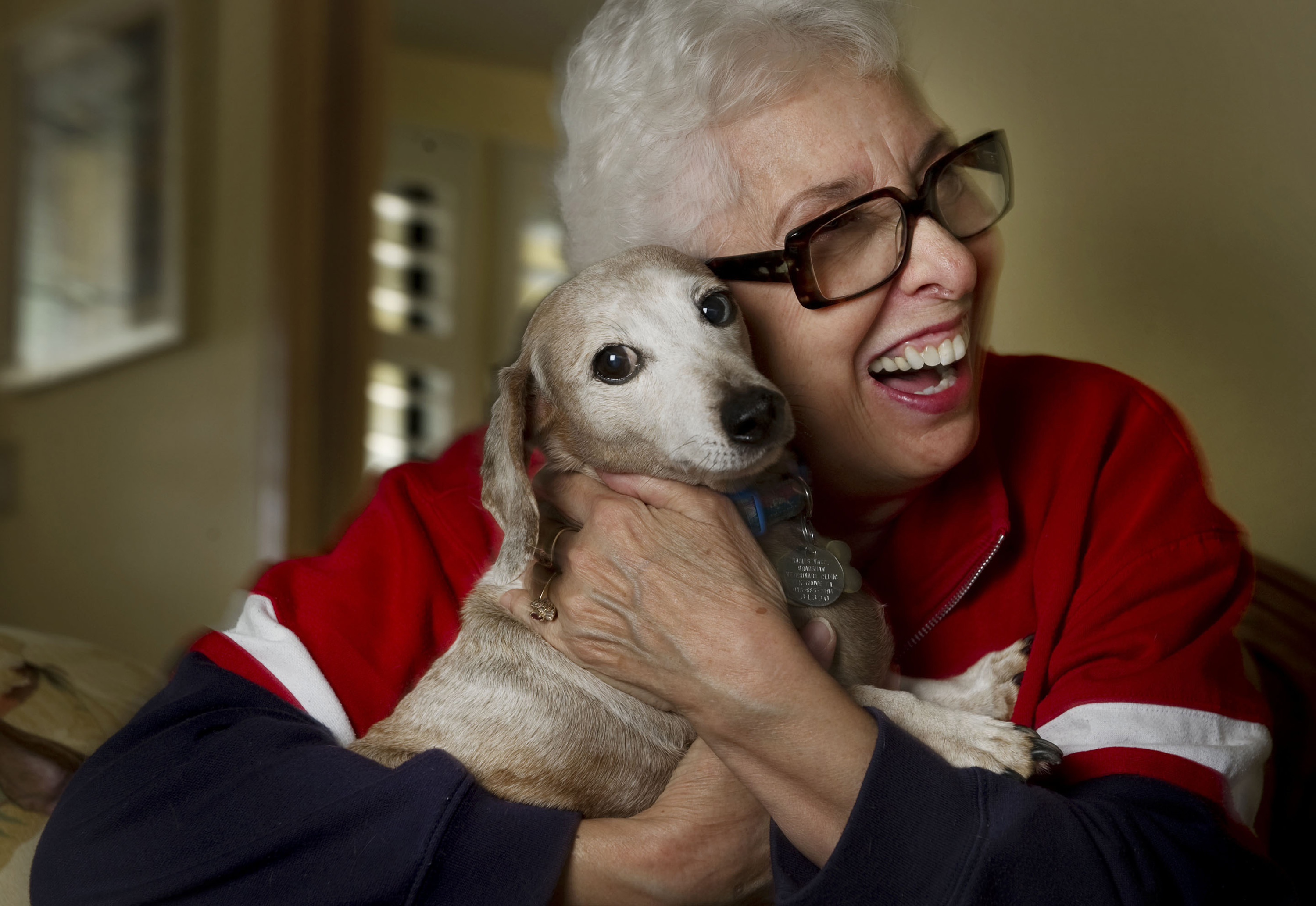 dog hugging pets animal psychology