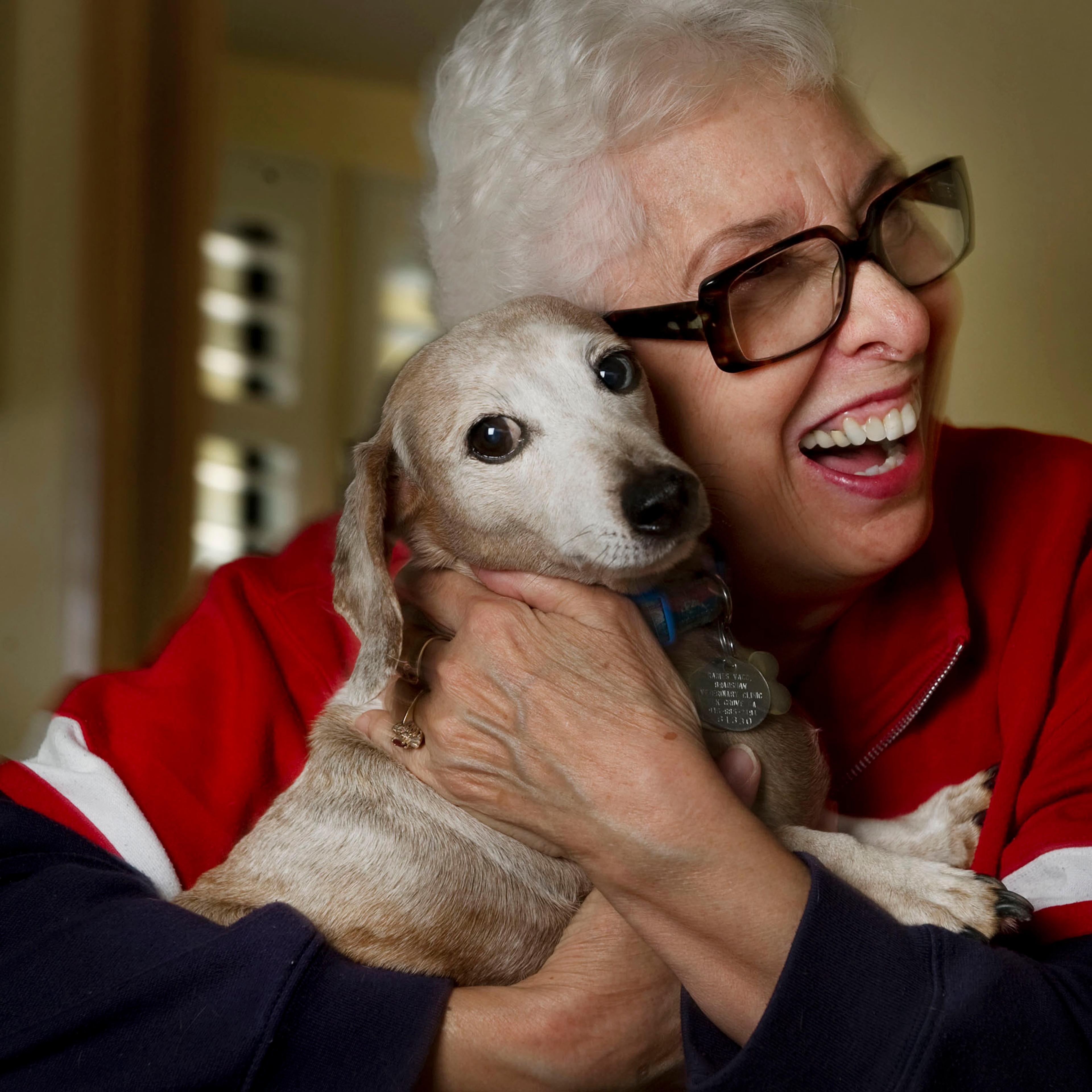 dog hugging pets animal psychology