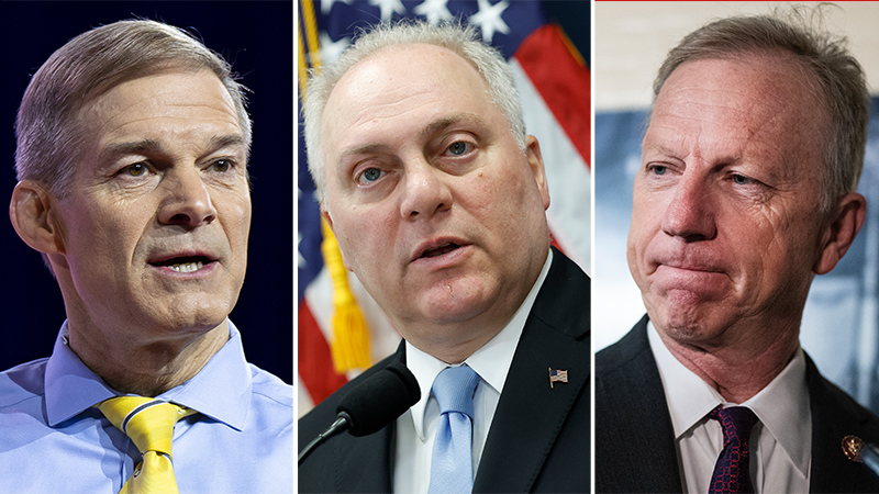 Speaker of the House contenders