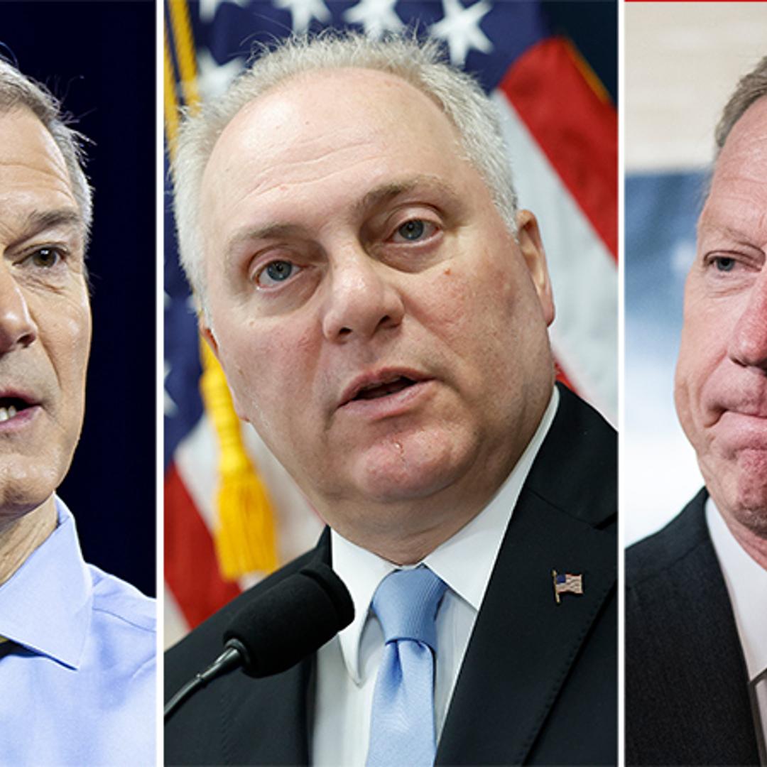 Speaker of the House contenders